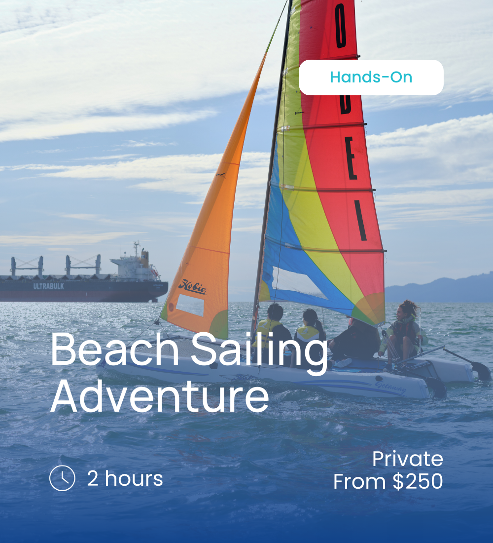 Beach Sailing Adventure.png