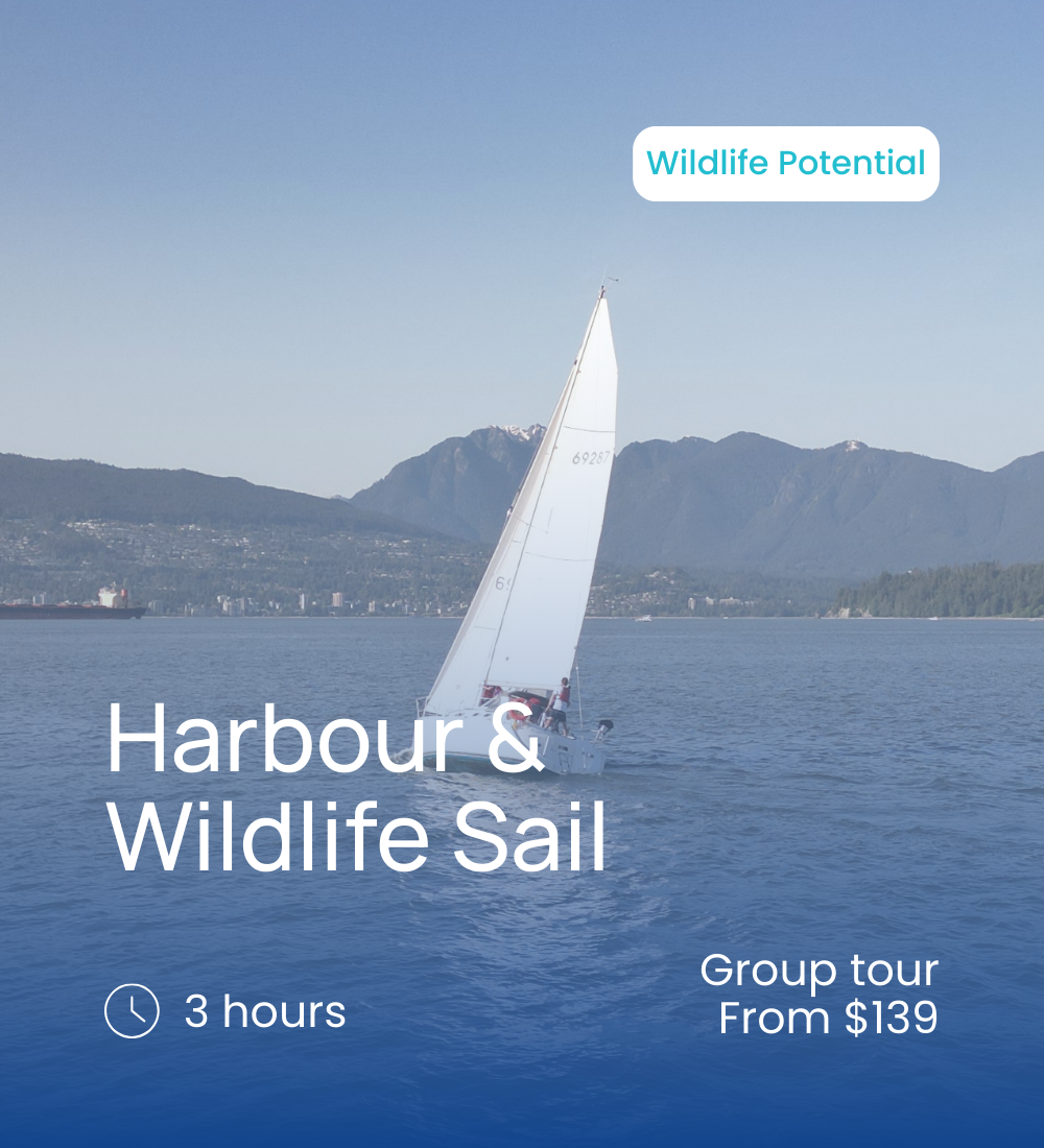 Harbour & Wildlife Sail.png