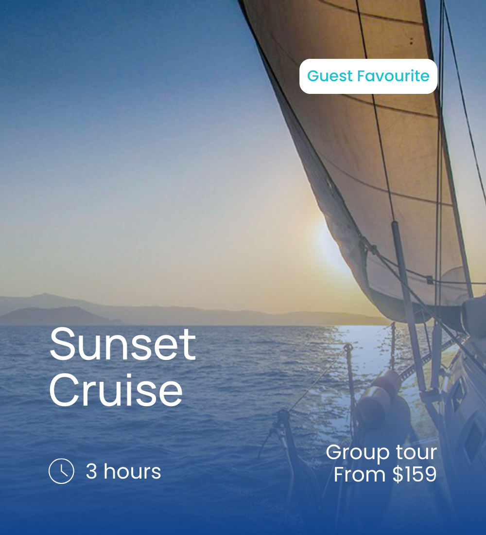 Sunset Cruise.png