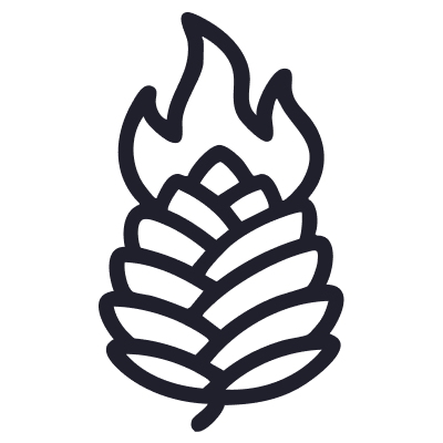 Icon of a pinecone on fire