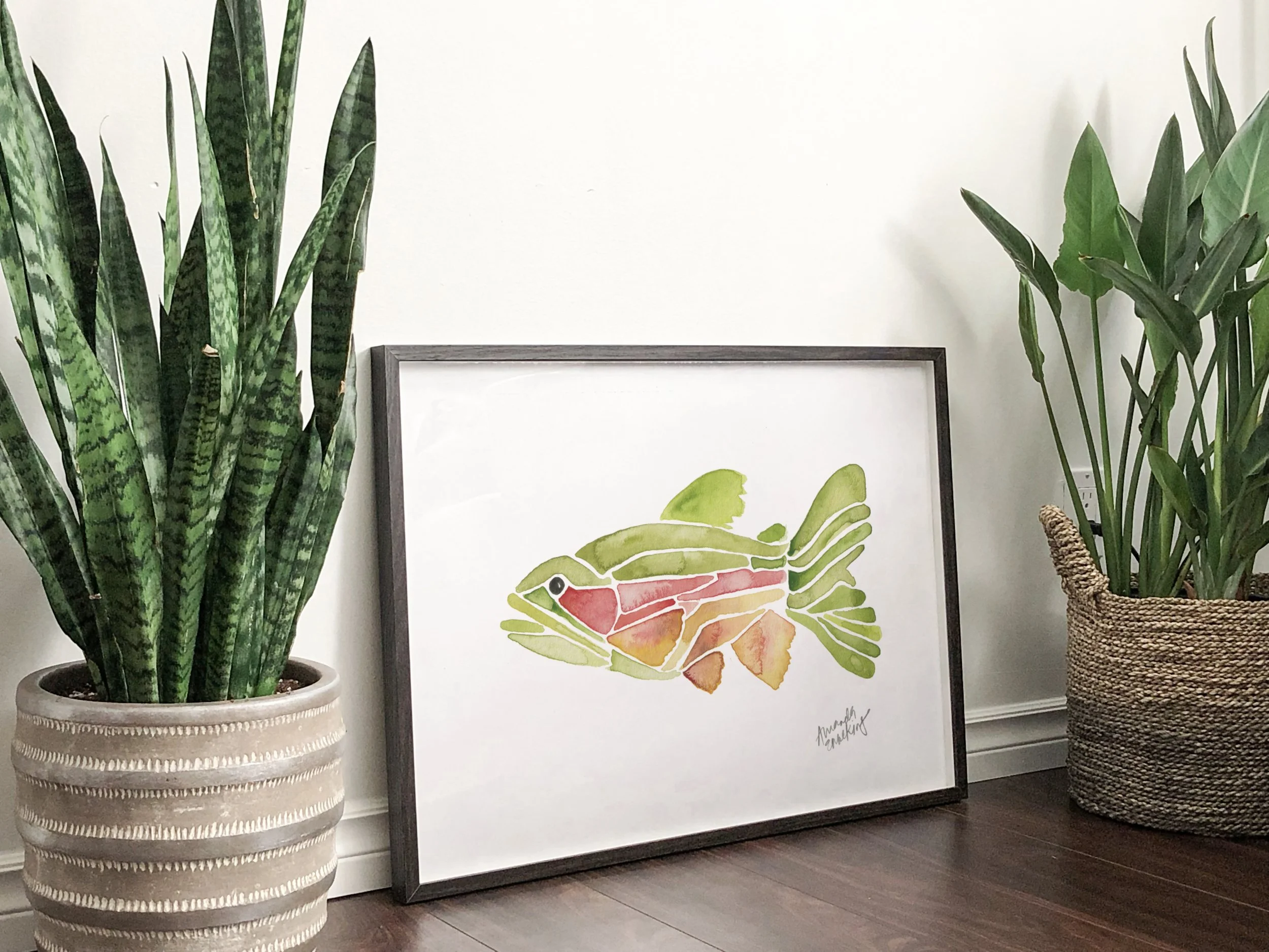 rainbow trout Peyote 8.jpg