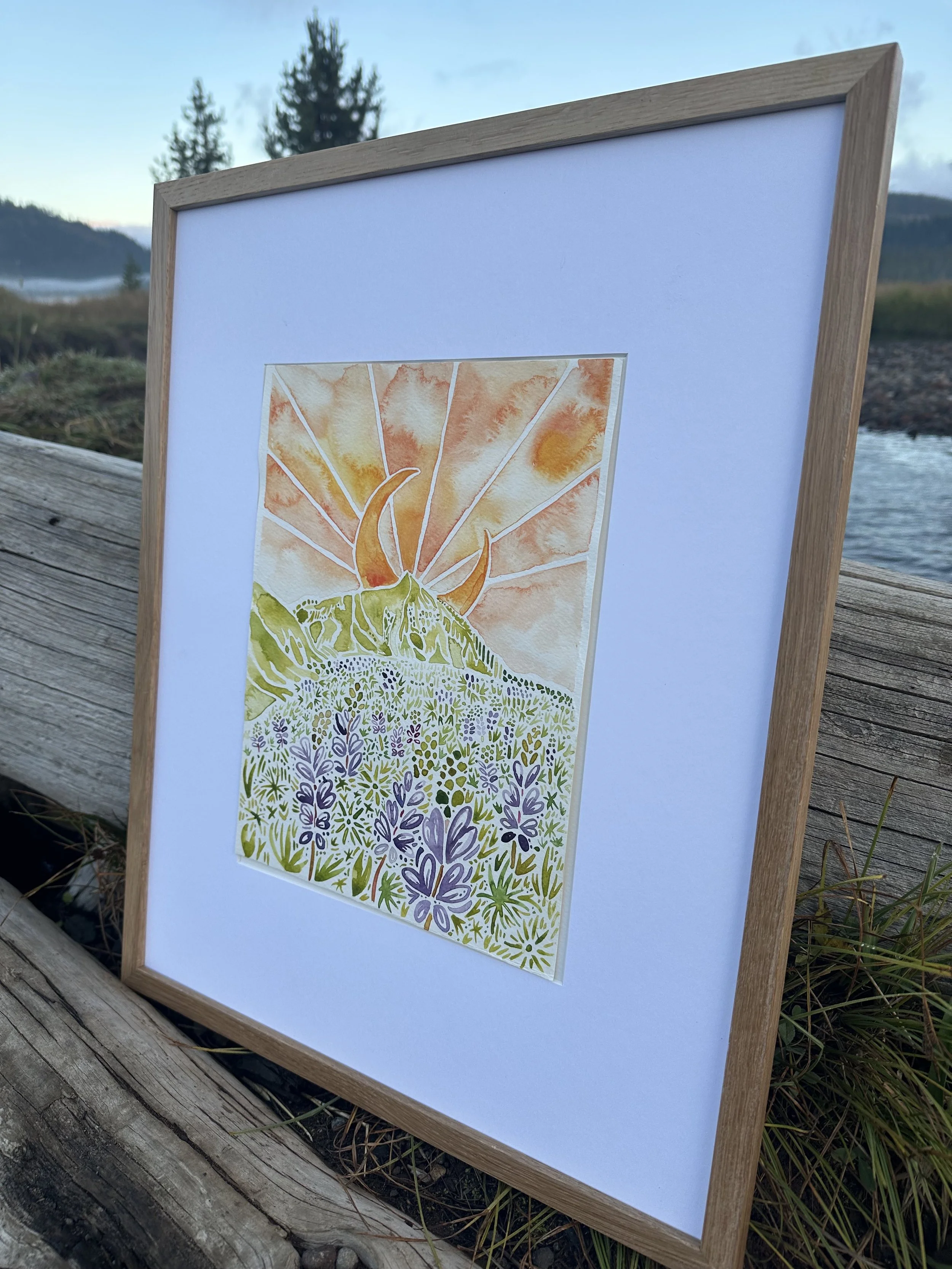 CB Lupines Soda Creek right .jpg