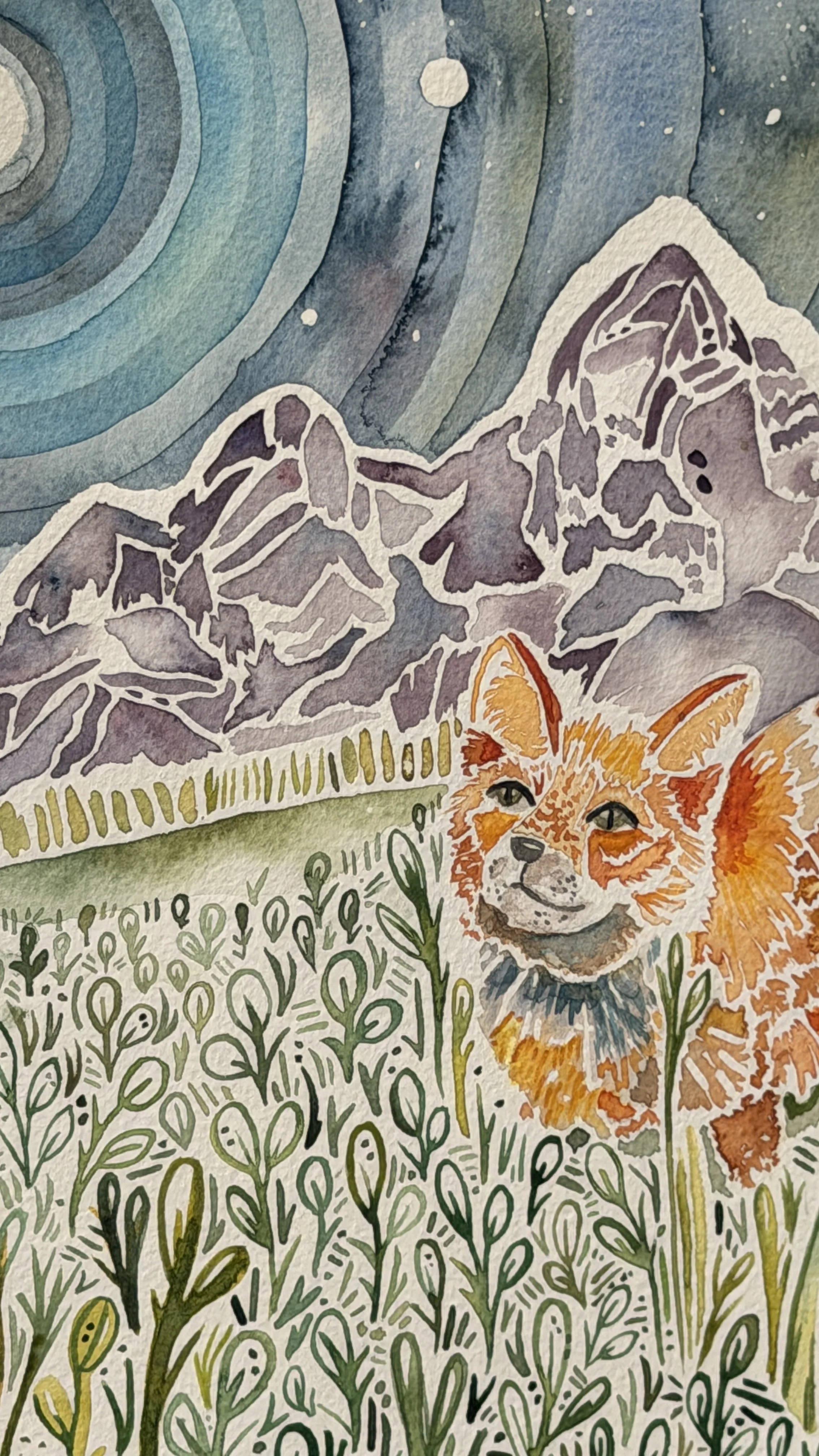 teton fox zoomed in.JPG