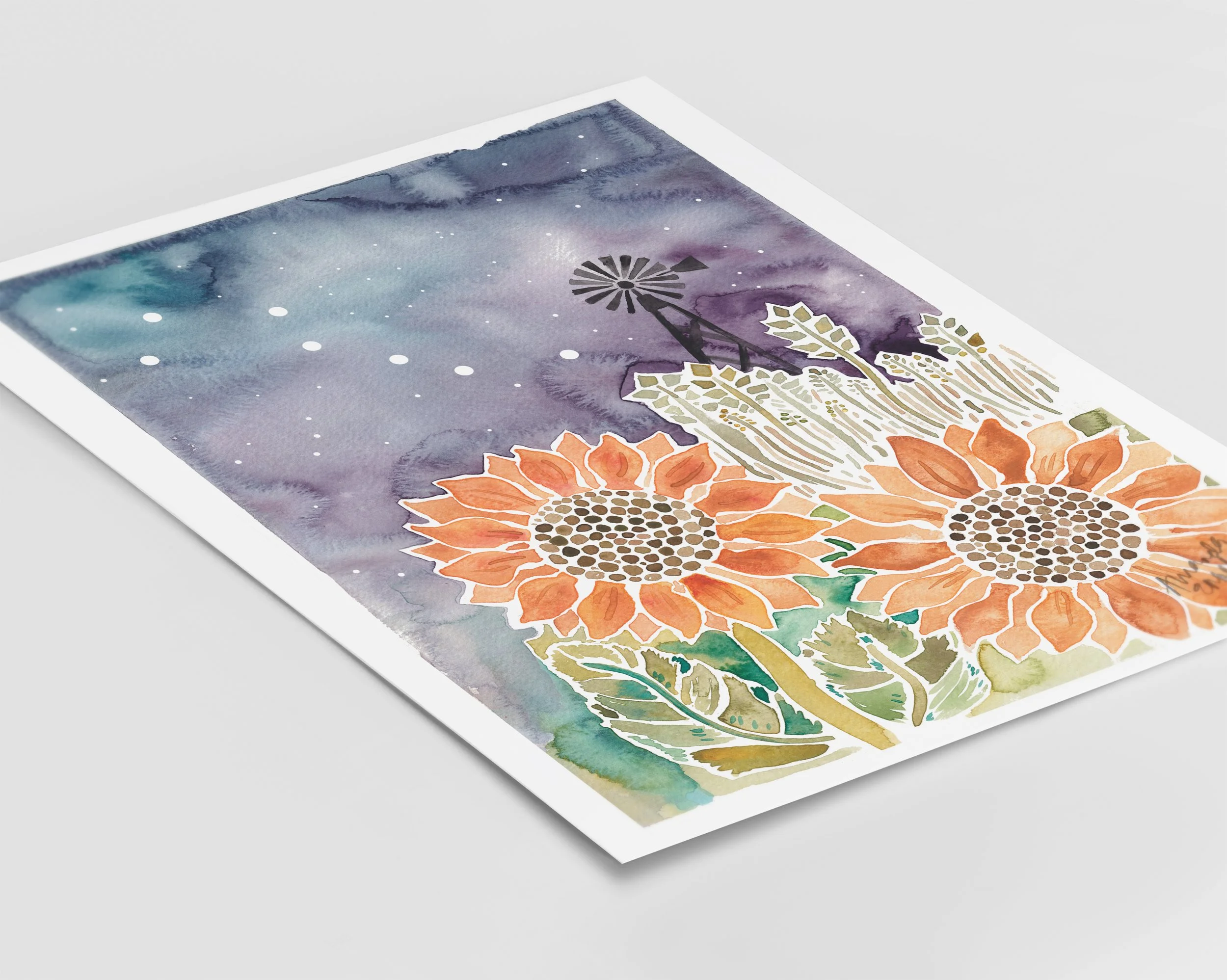 Kansas Night Sky Flatlay.jpg