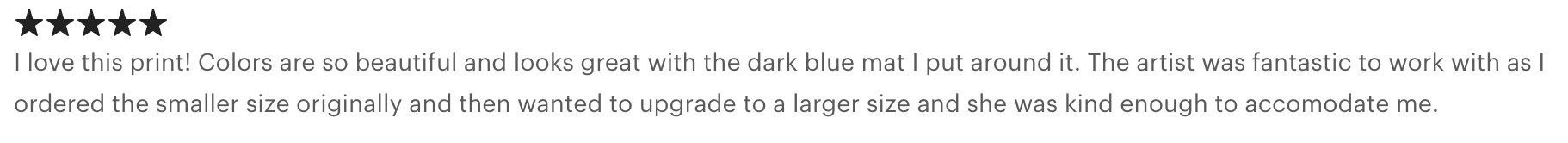 Customer review with five stars and positive comments about a print, praising its colors and the artist's work.