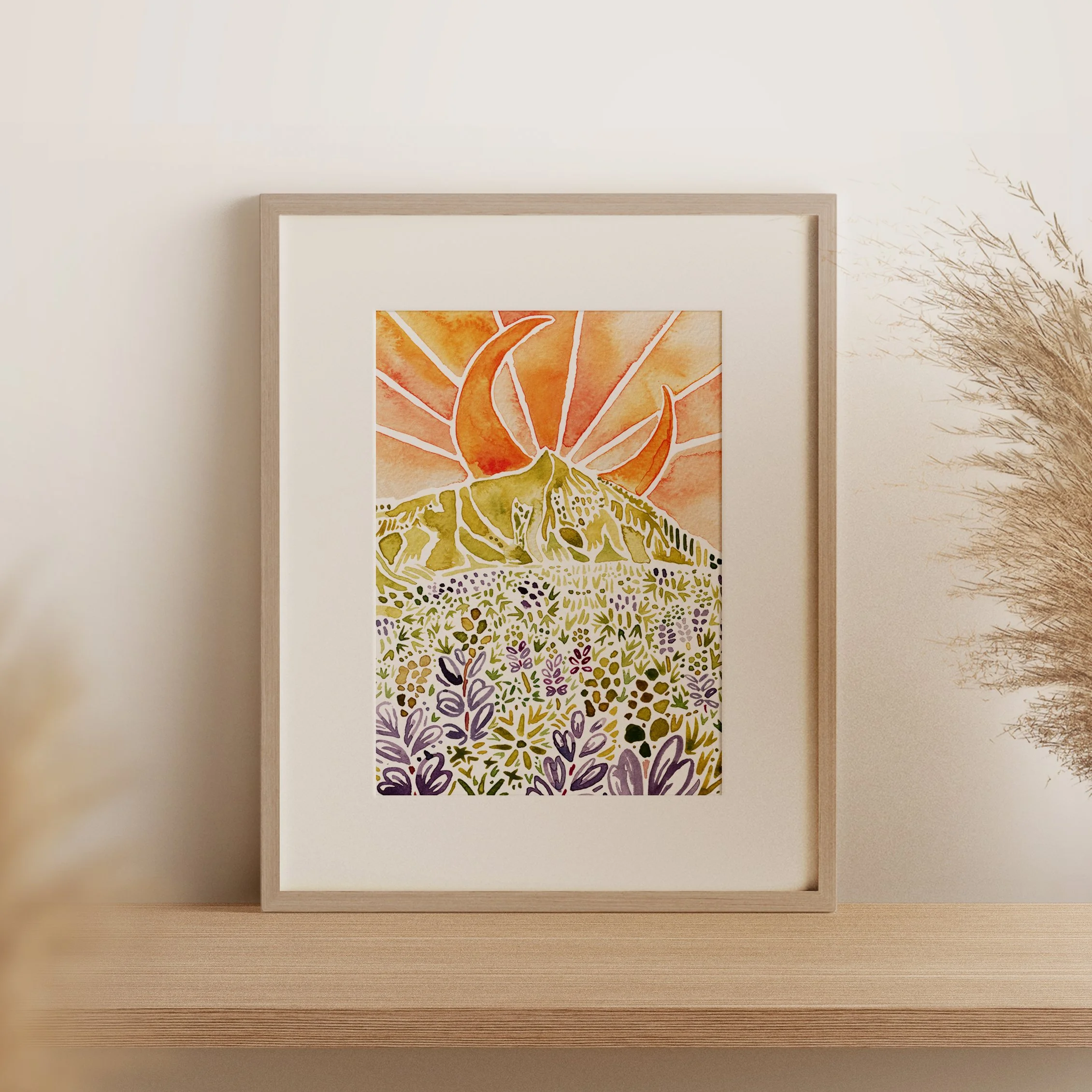 crested butte lupines