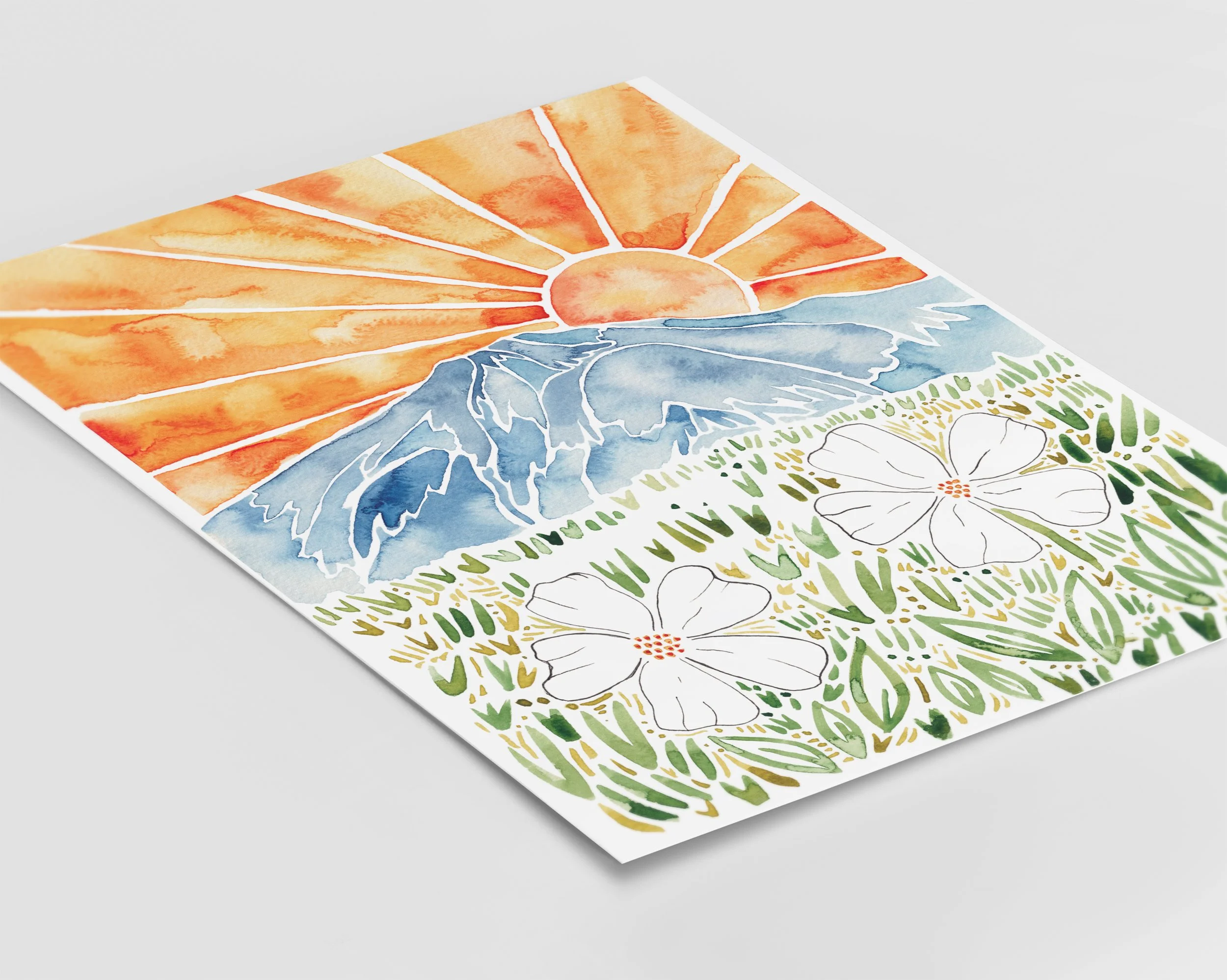 Mt Bachelor Daisies Flat Lay.jpg