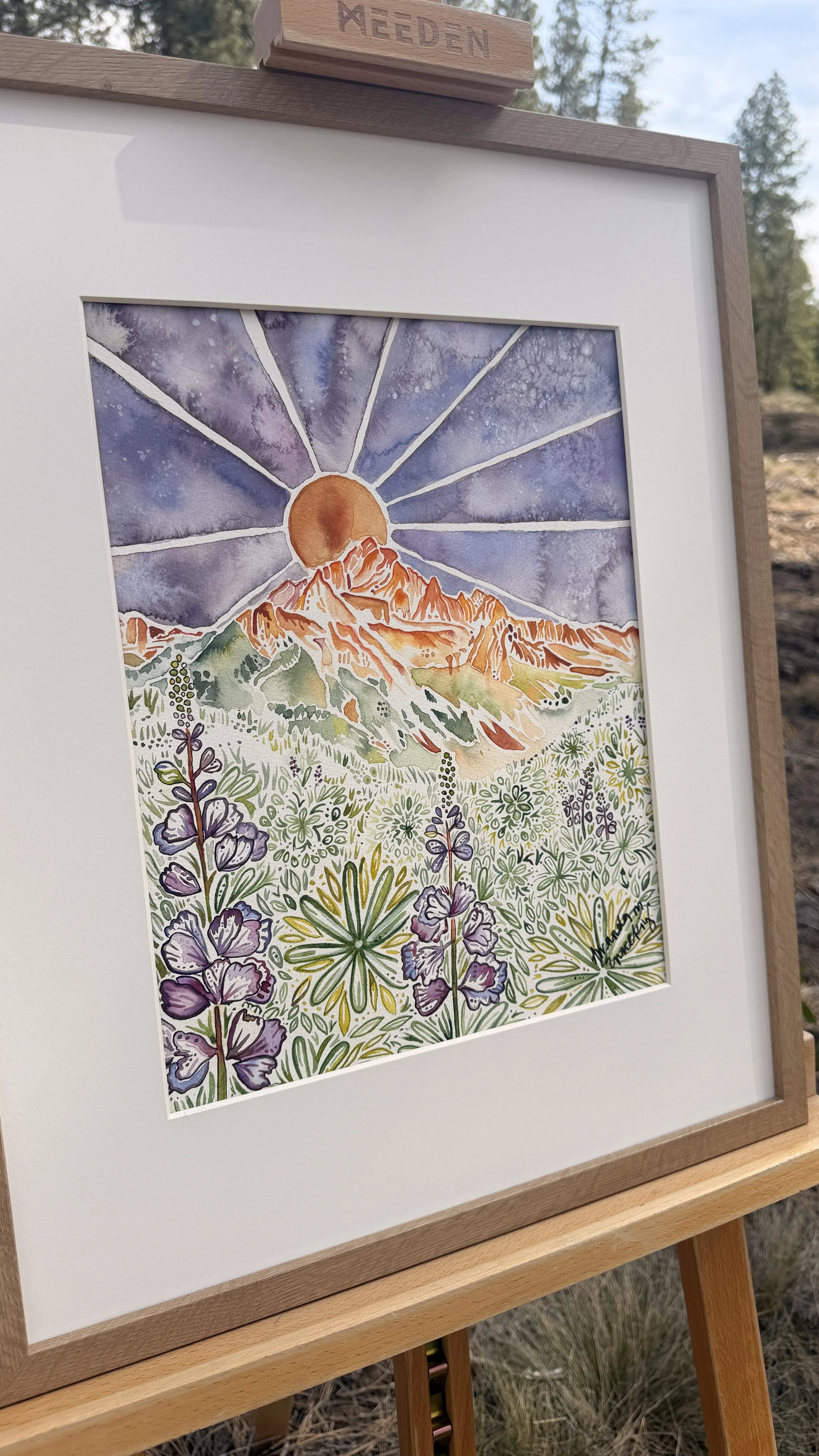 Mt Sneffels OG from Left Mid.JPG