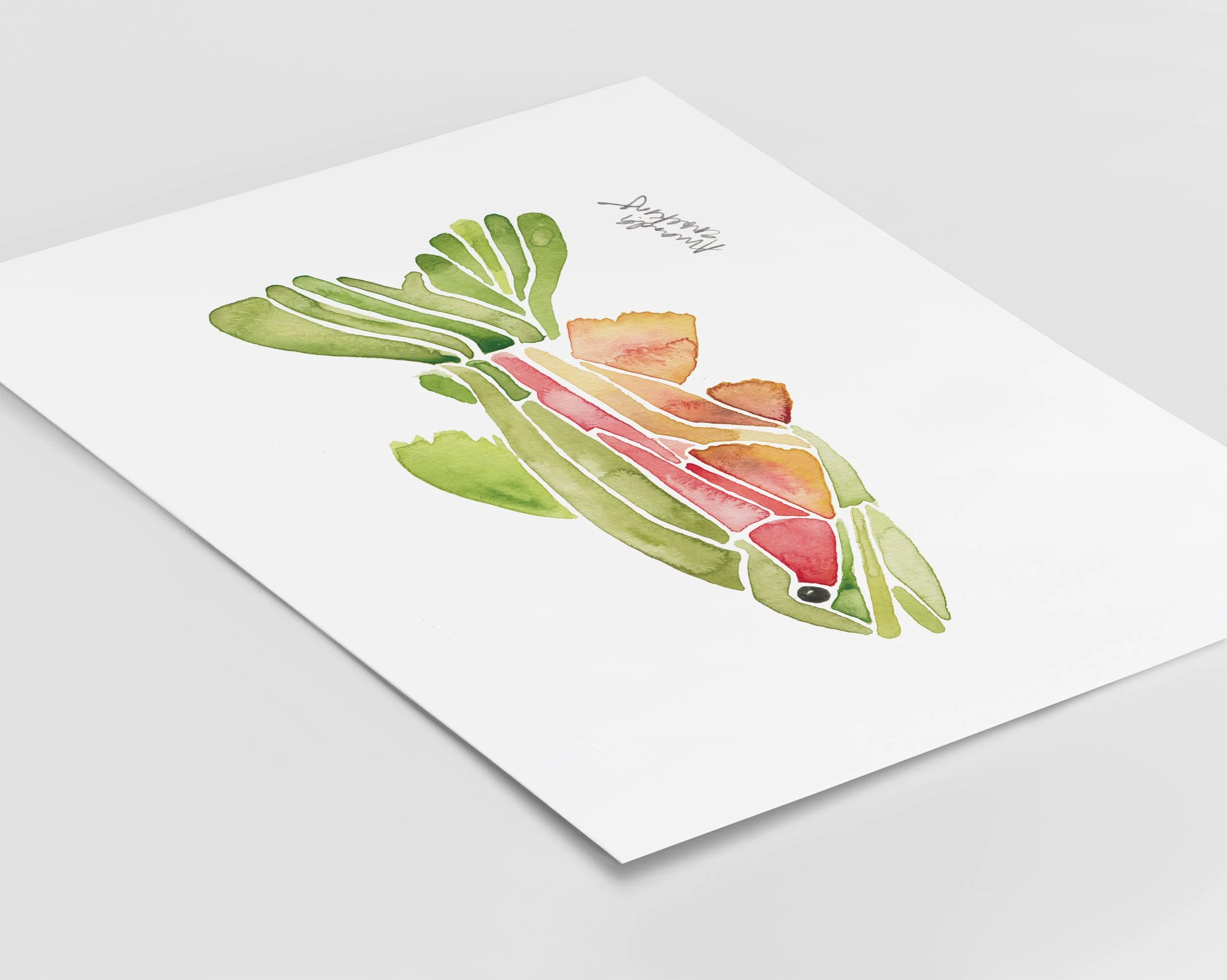 Rainbow Trout FlatLay.jpg