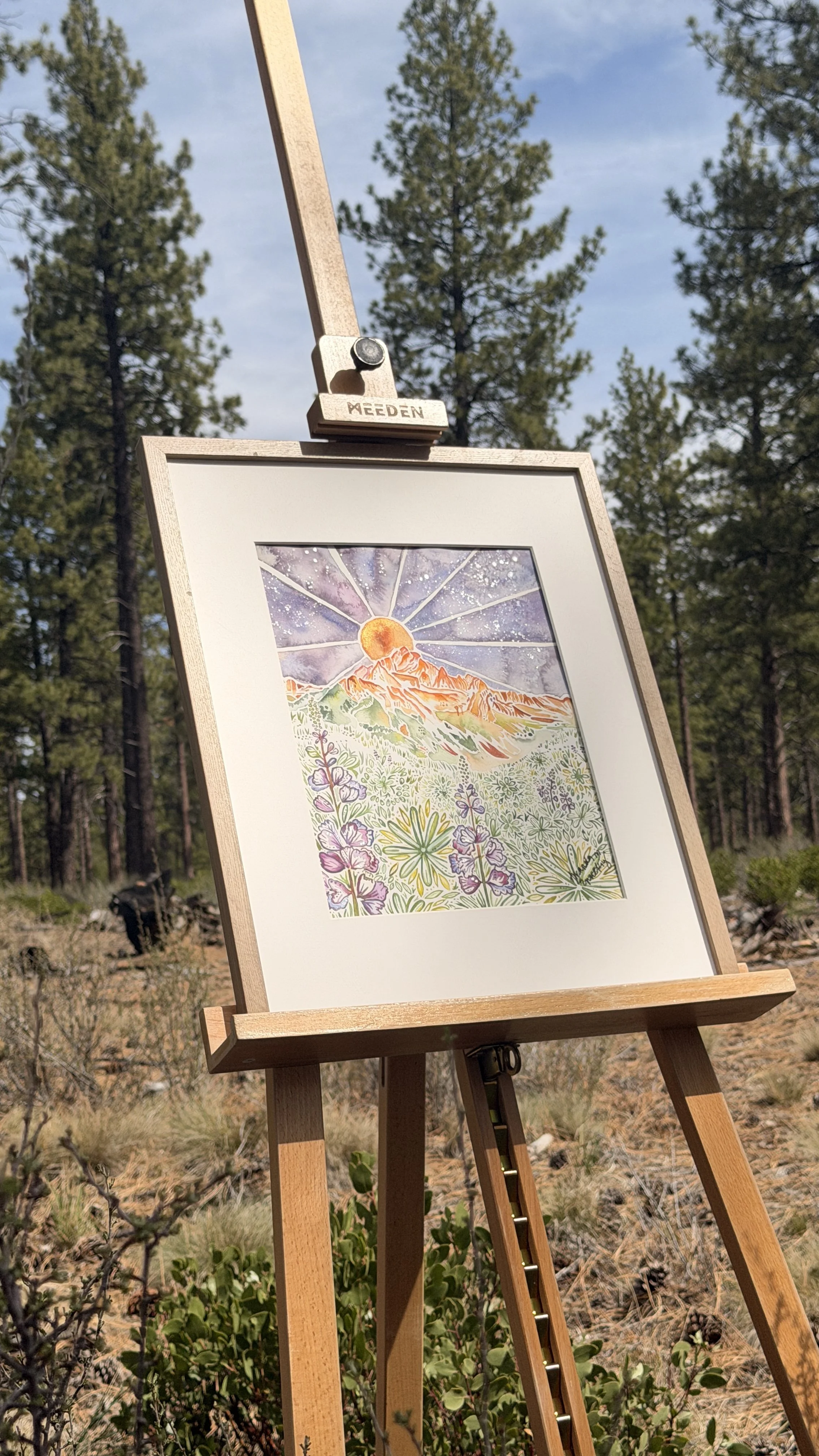 Mt Sneffels OG from below bright light.JPG