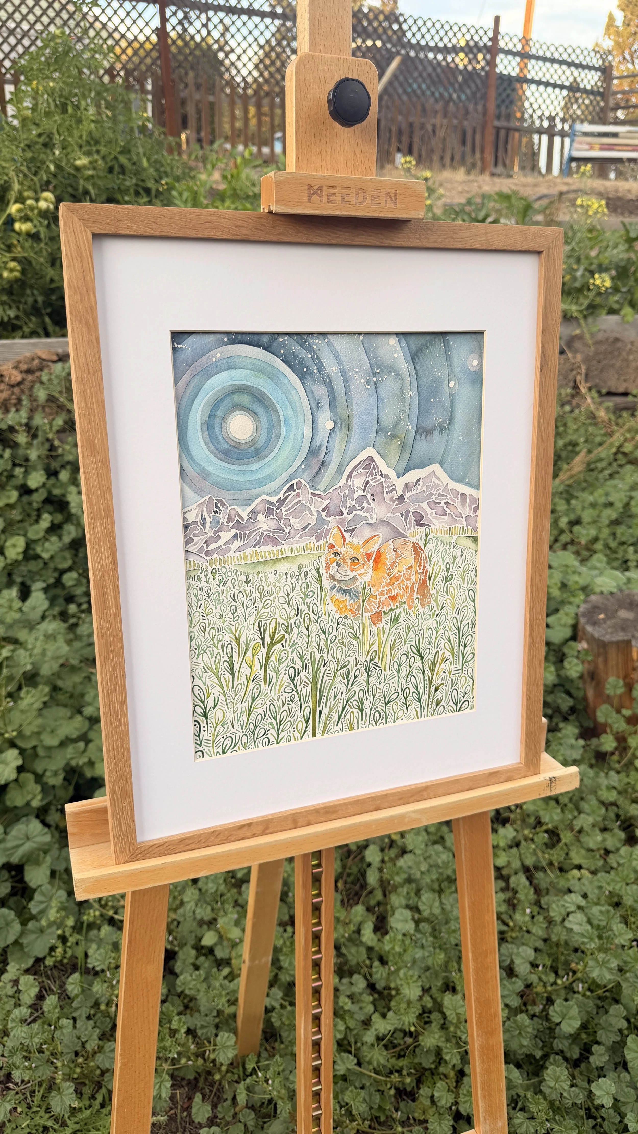 teton fox original.JPG