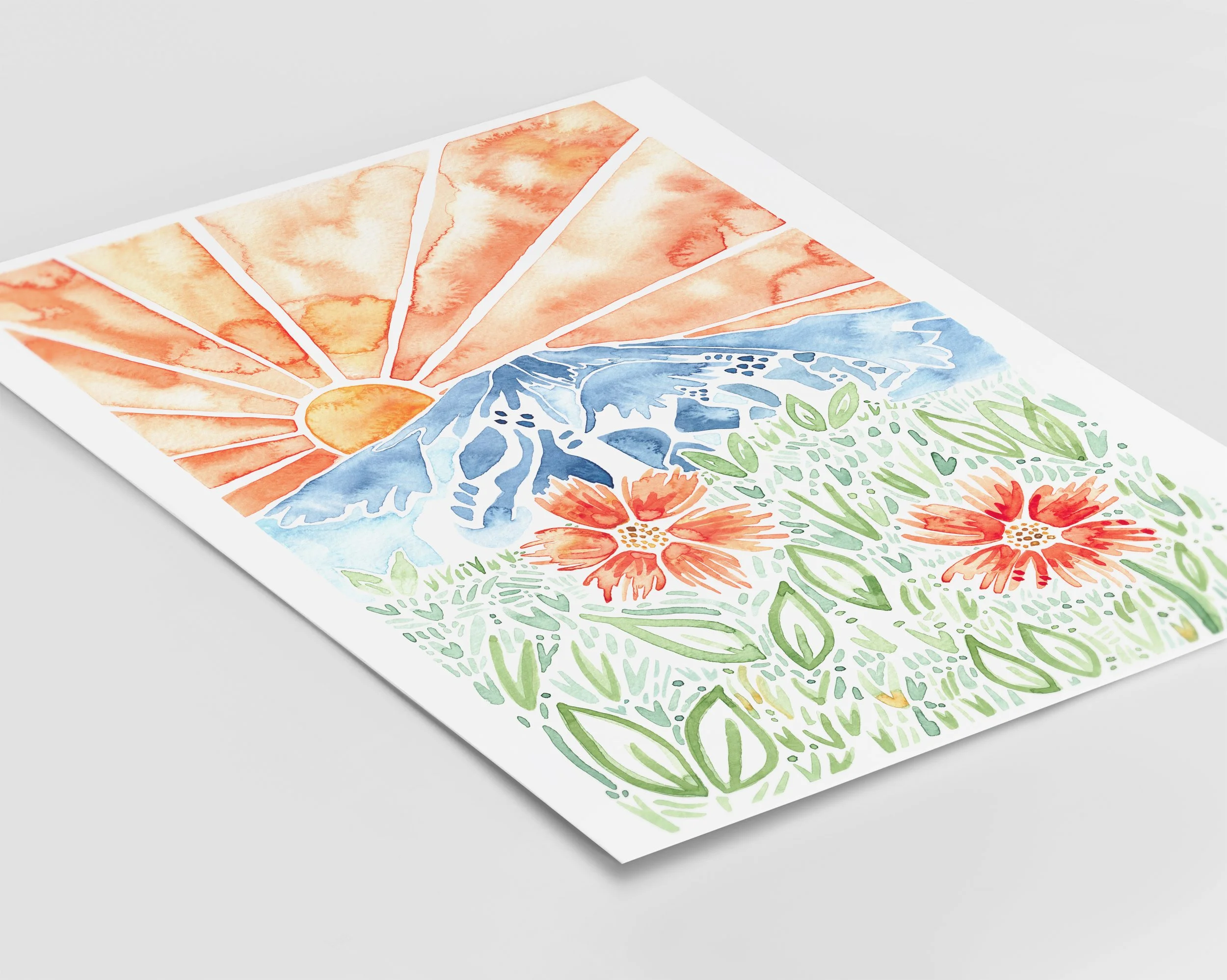 Mt Bachelor Daisies flat lay.jpg