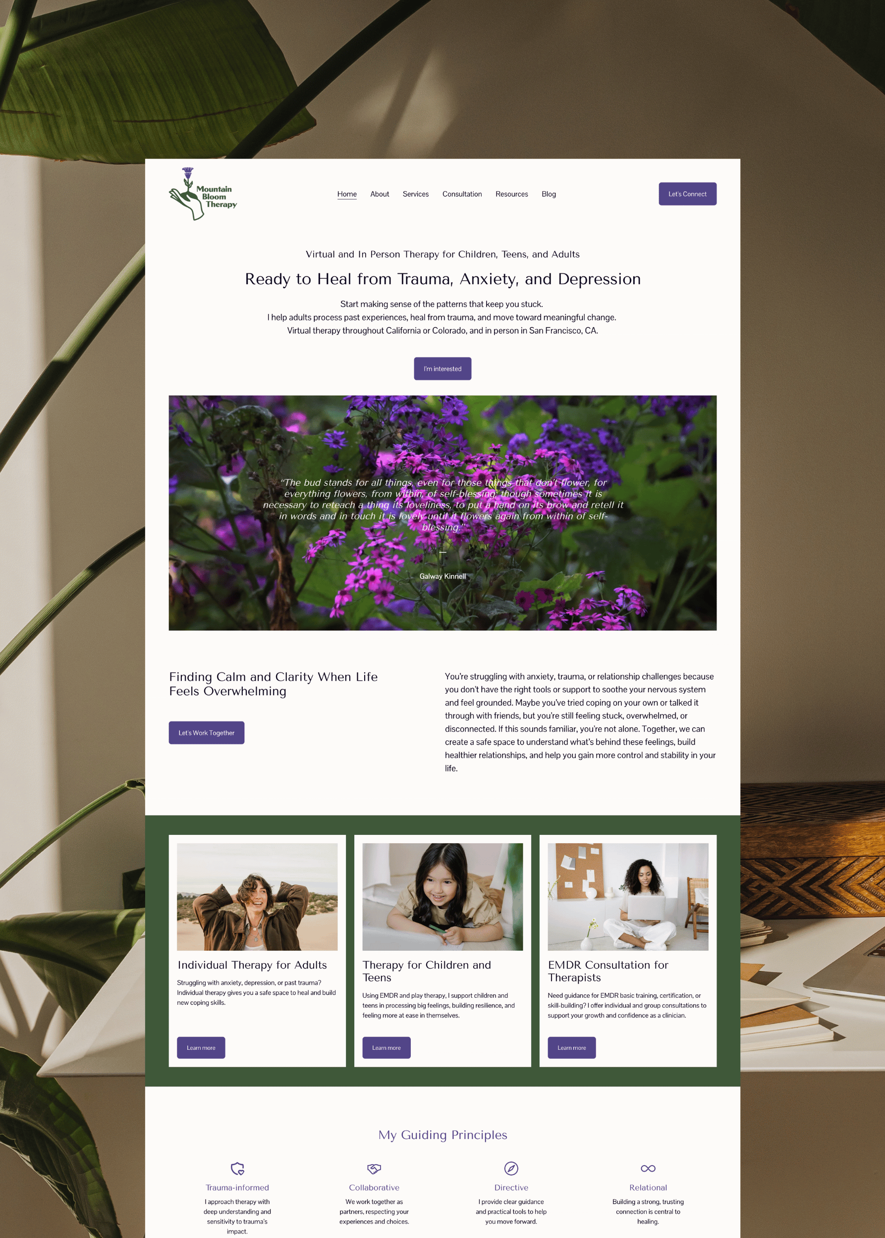 Mountain Bloom Therapy.png