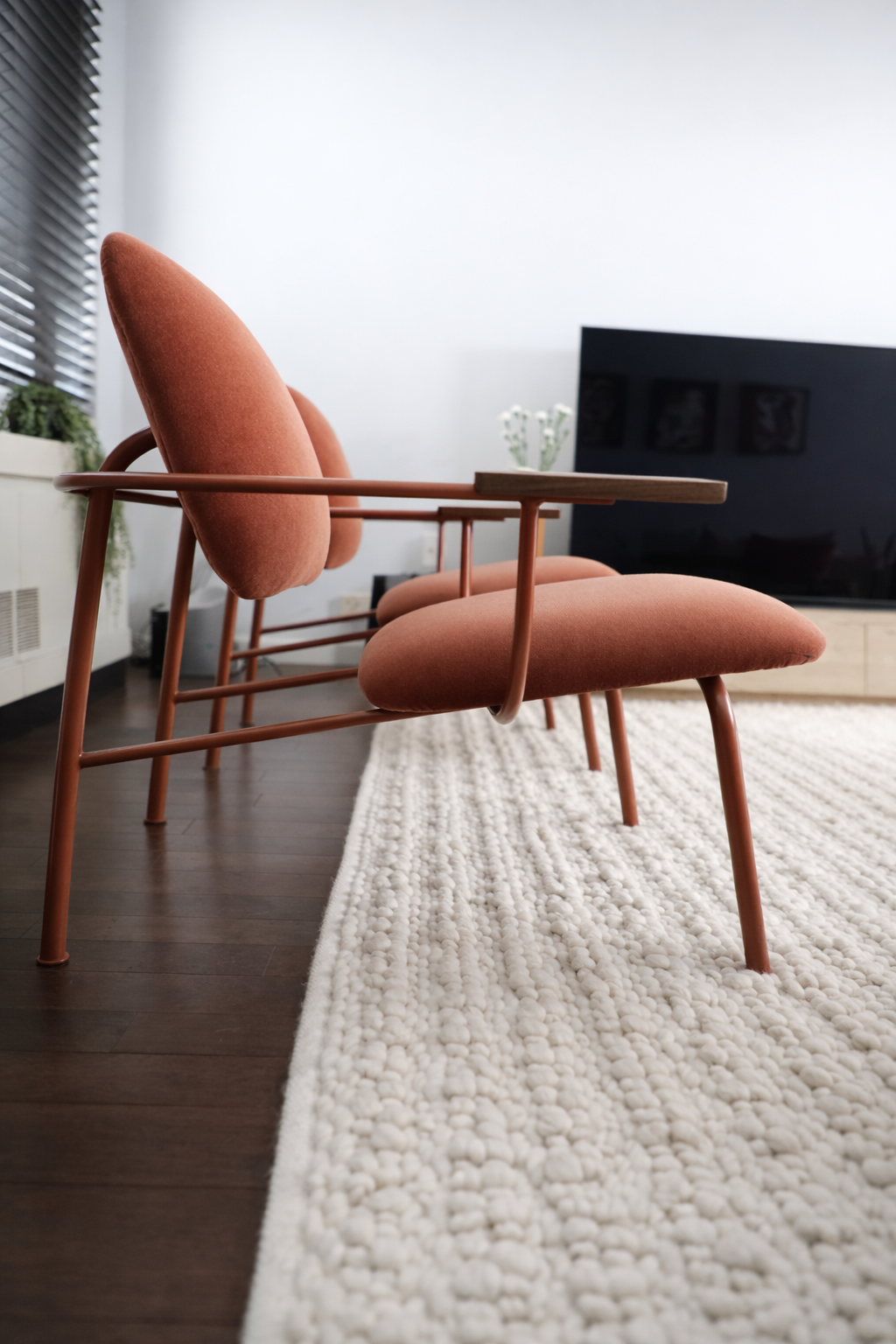 A Contemporary in the City