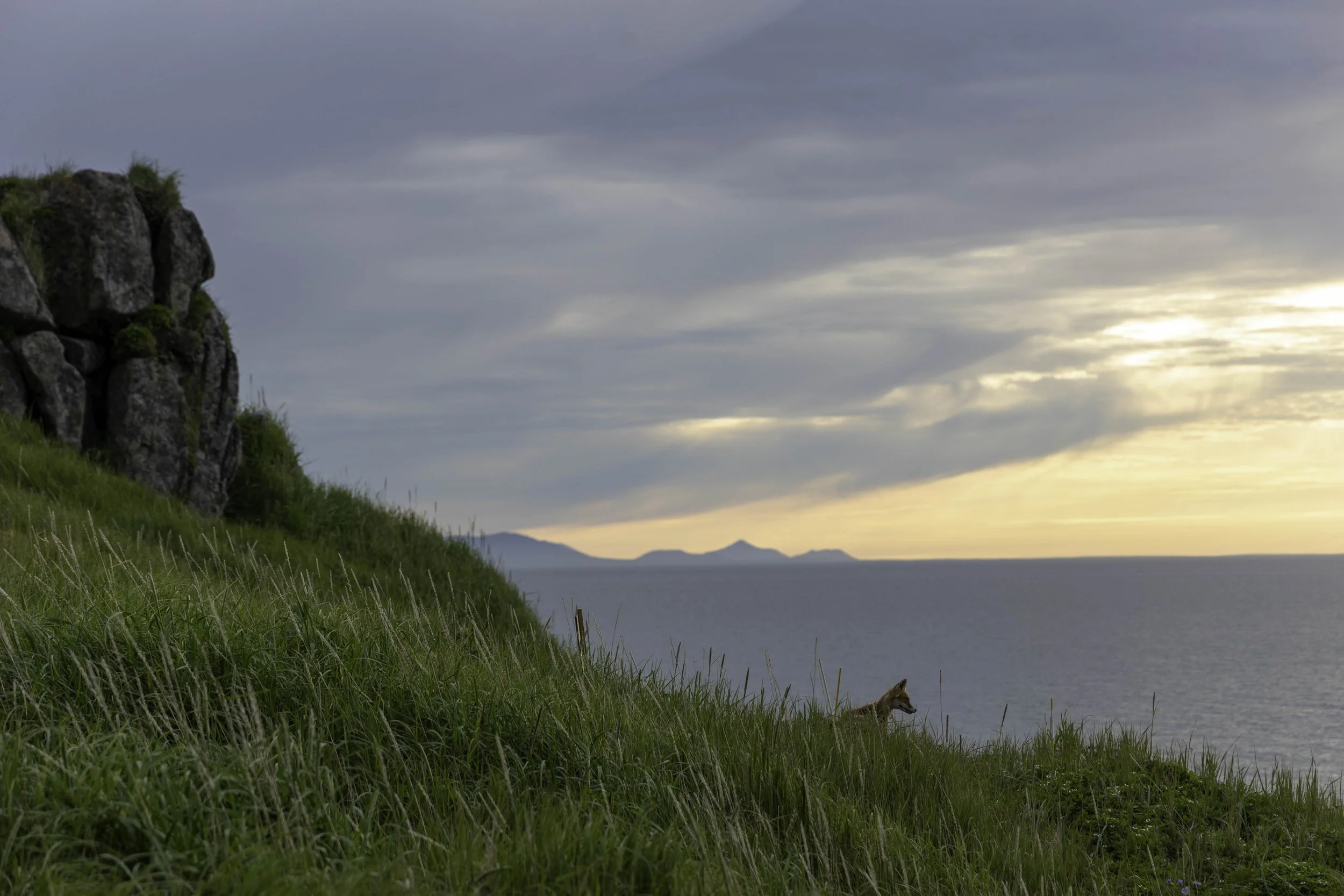 Witness to first light