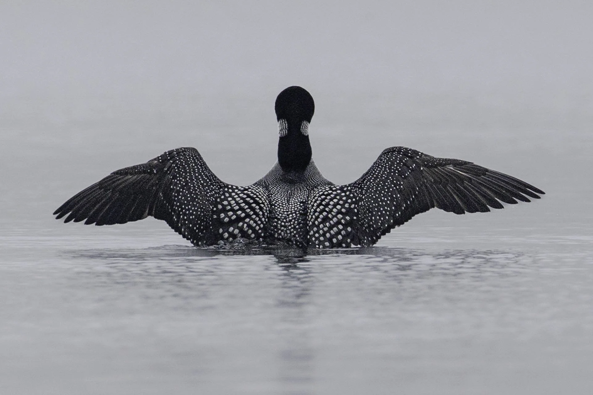 Between Water and Sky