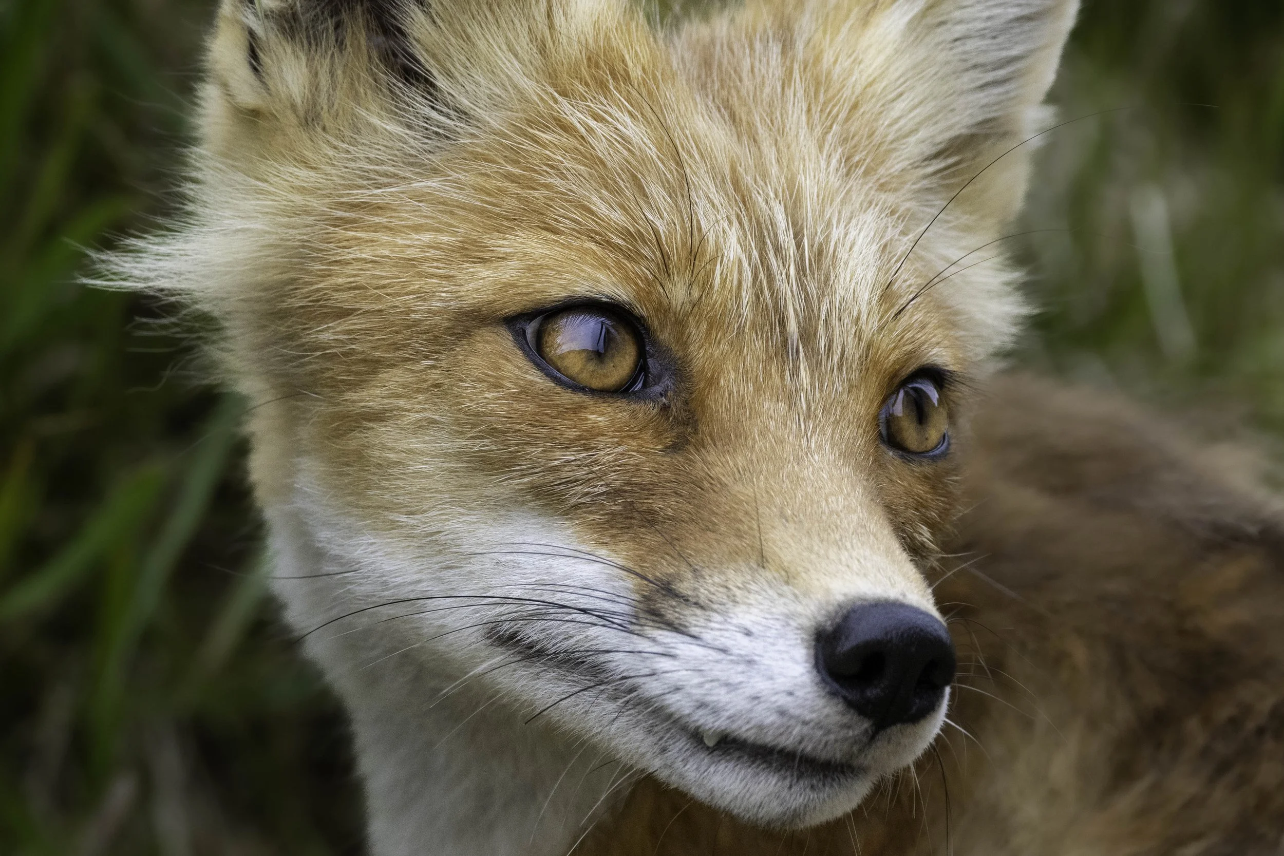 Something remembered