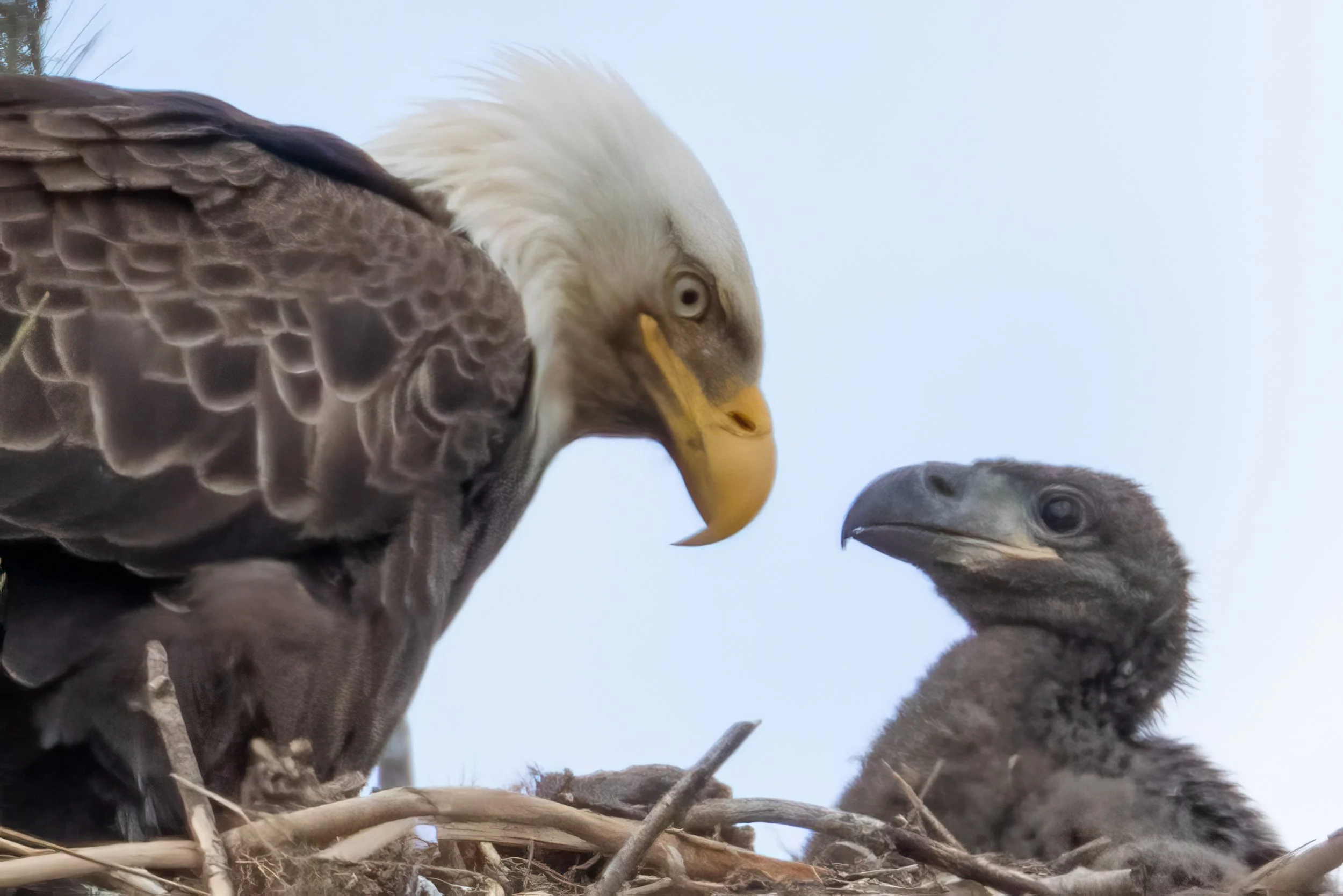 Where Strength Begins