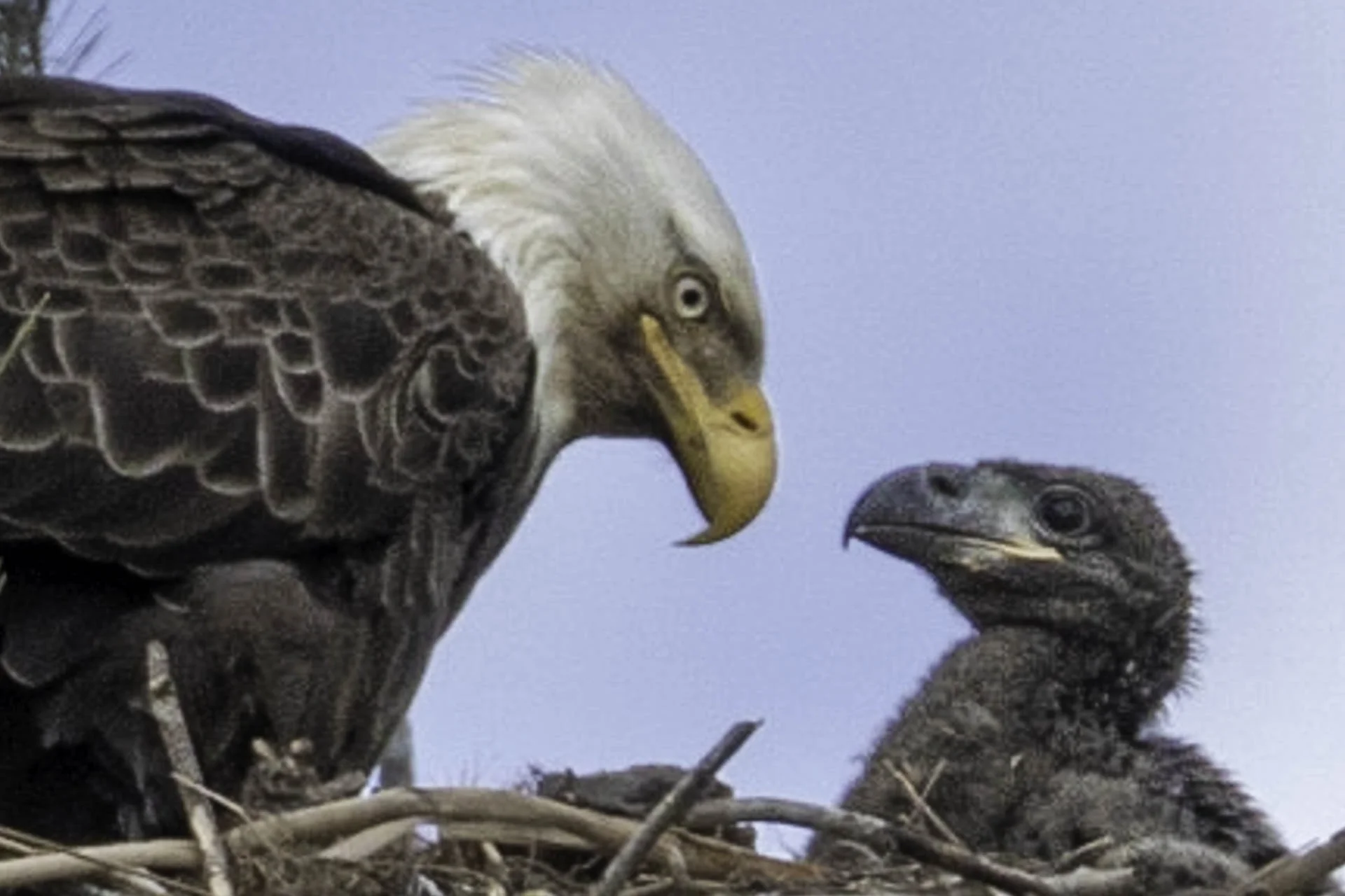 Where strength begins