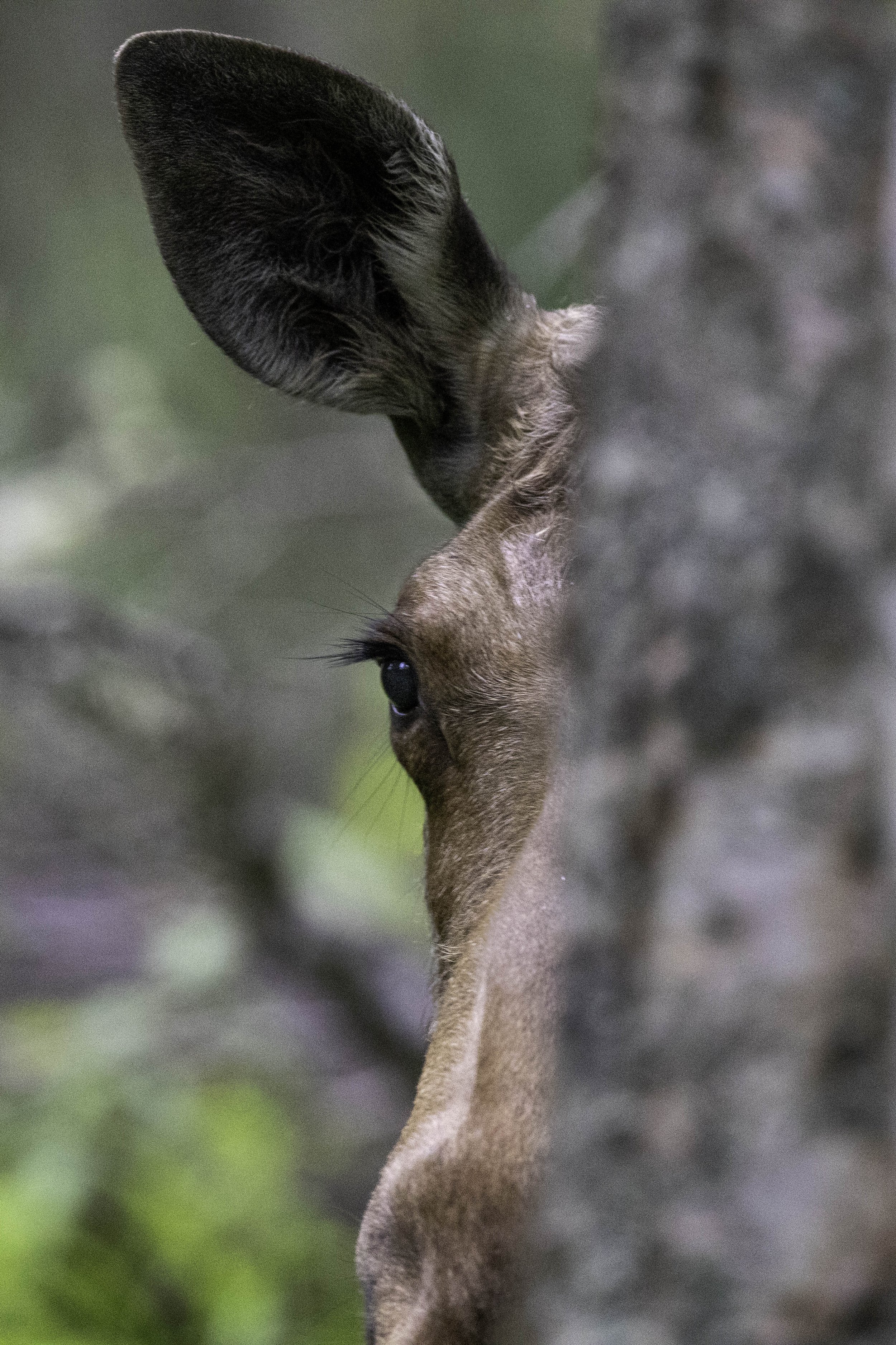 A Sliver of Presence