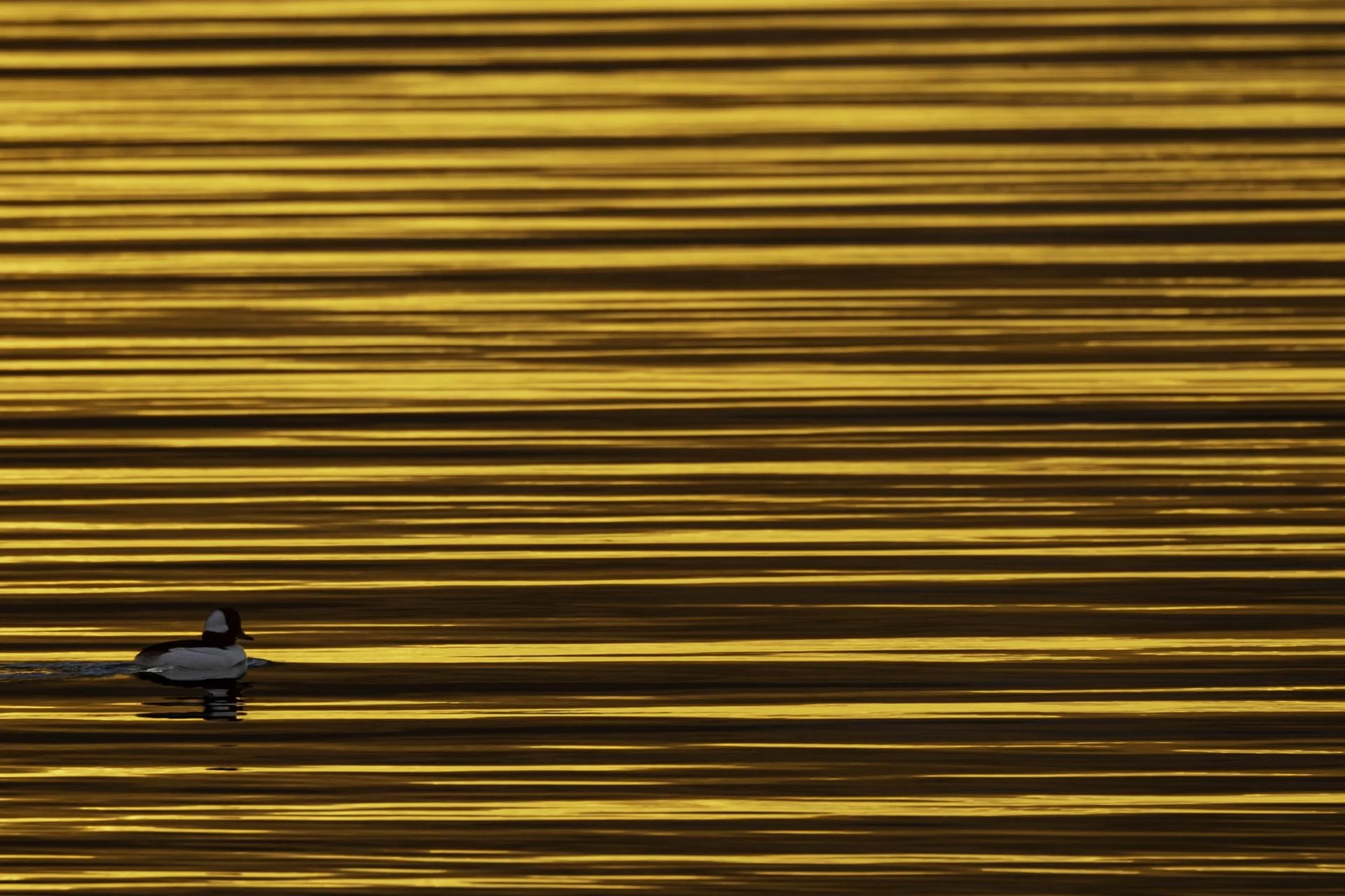 Between Ripple and Shore