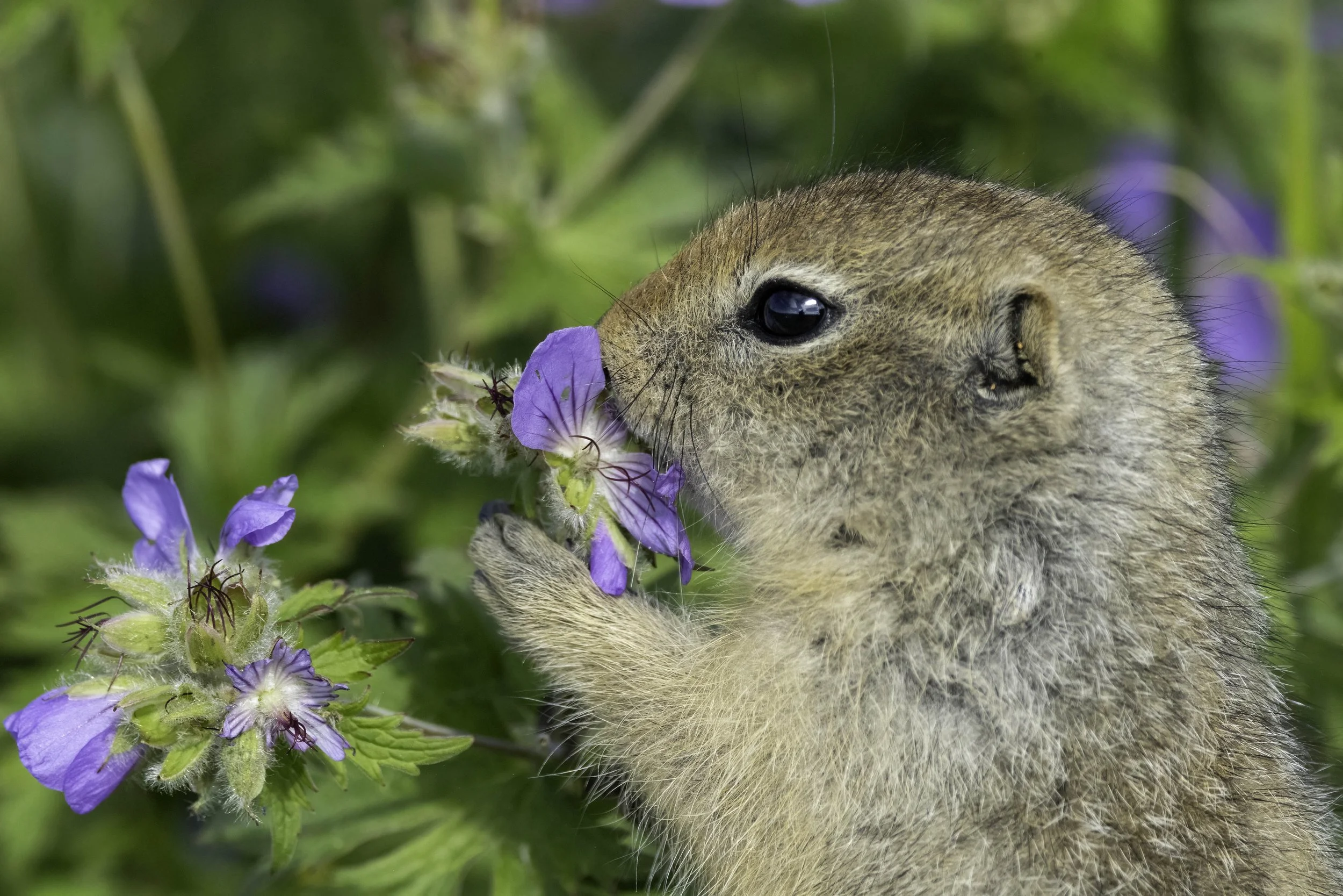 Take time to smell the flowers