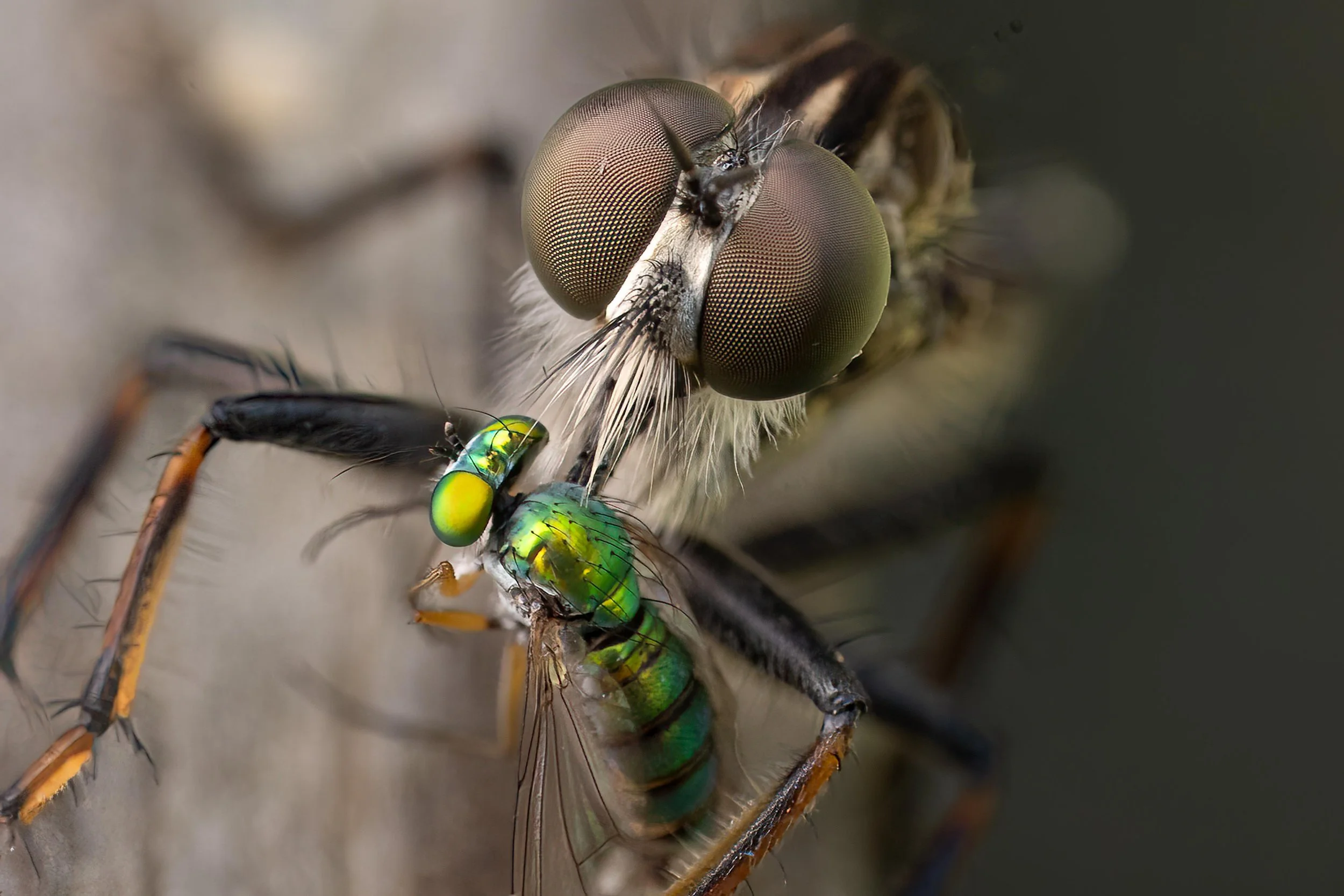 Where one ends.......