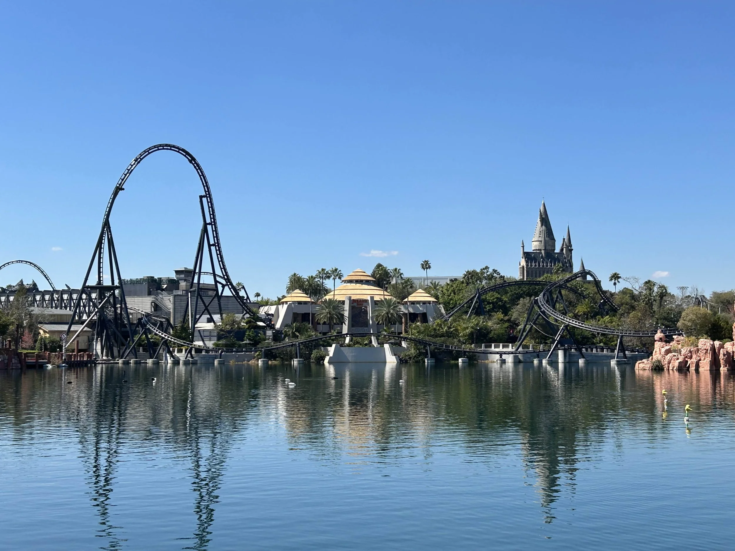Florida, A roller coaster with tall loops and twists over water at a theme park, with a castle in the background and palm trees around.