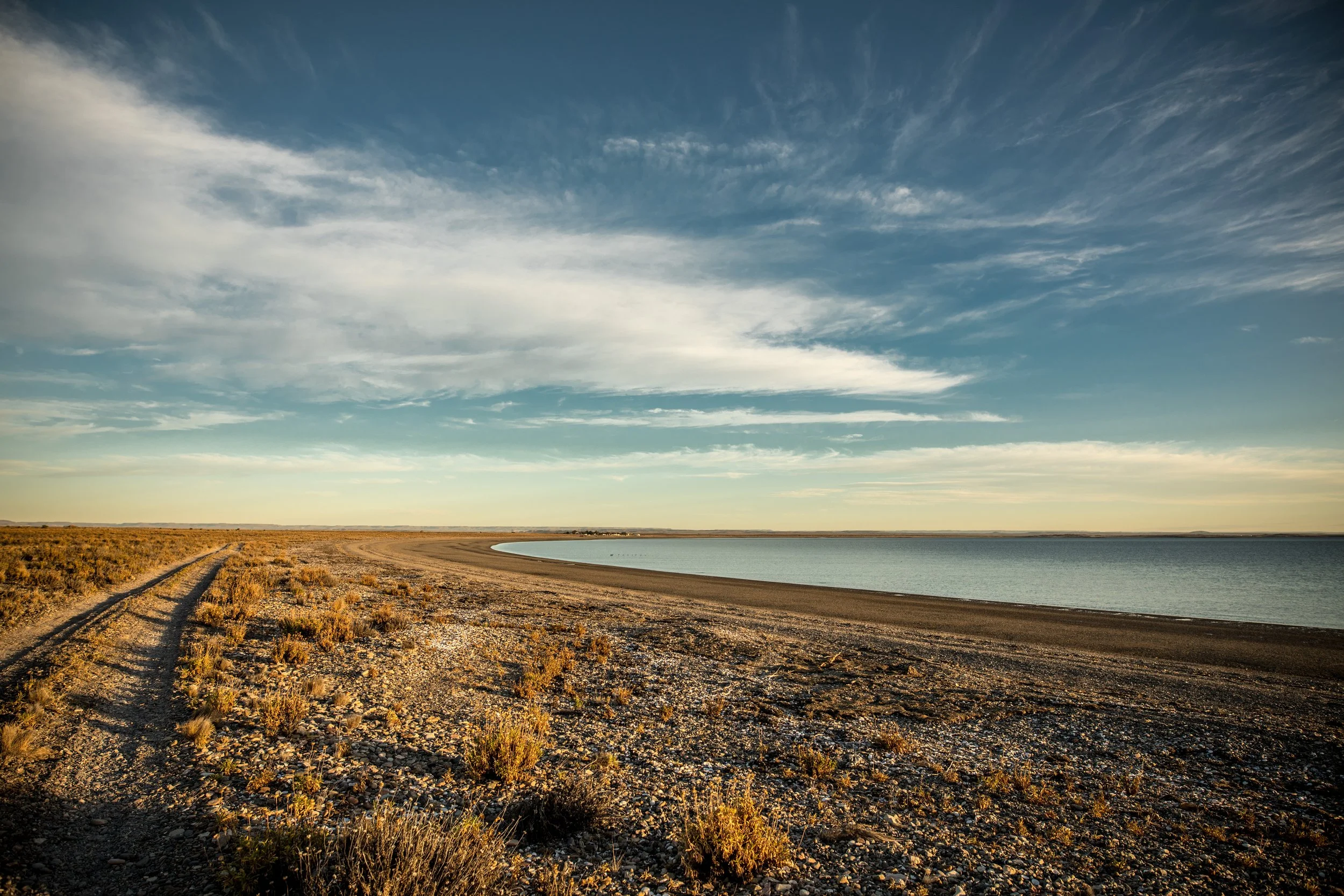 Bahía Bustamante: Patagonia’s Best-Kept Secret — Where the Atlantic Shapes the Wine