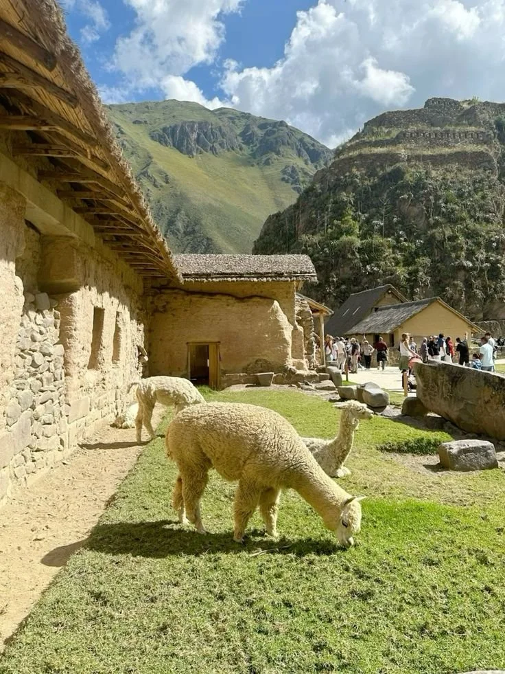 🇵🇪.jpeg