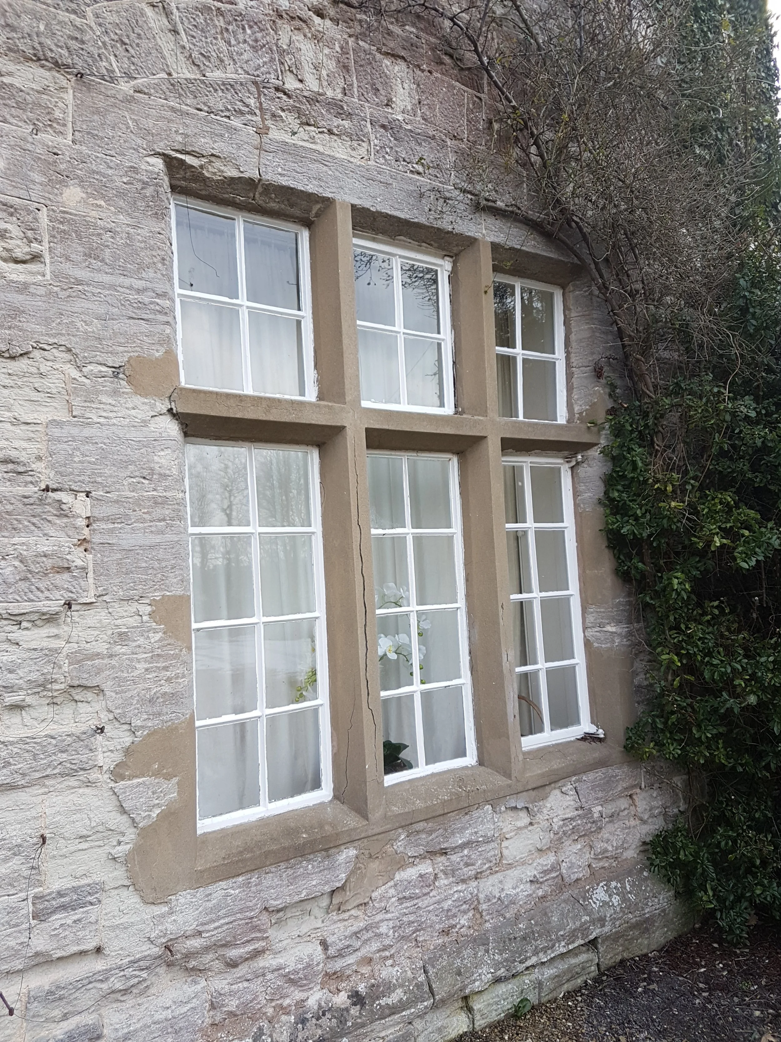 20180228_111855 (1).jpeg