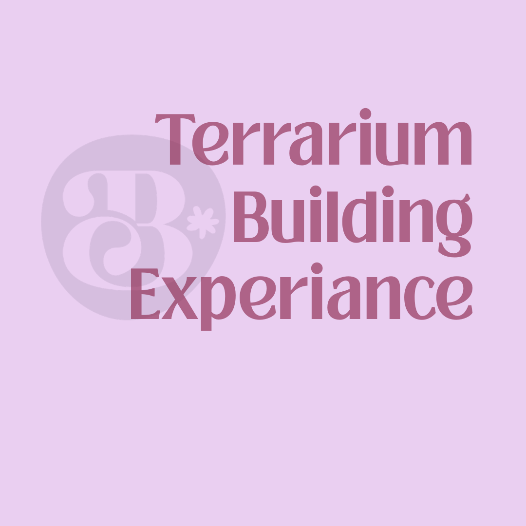 Terrarium Building Experience - WEDNESDAY 25th March  6PM - 8PM
