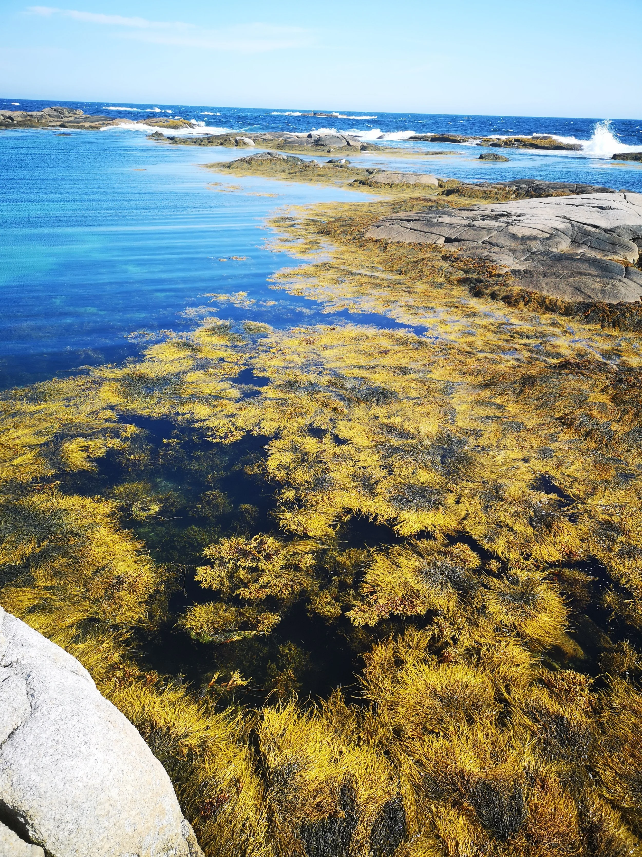 Mountain landscape with snow-capped peaks in the background, rolling brown and green hills in the foreground, and a modern building with wooden and stone elements situated on the hillside.