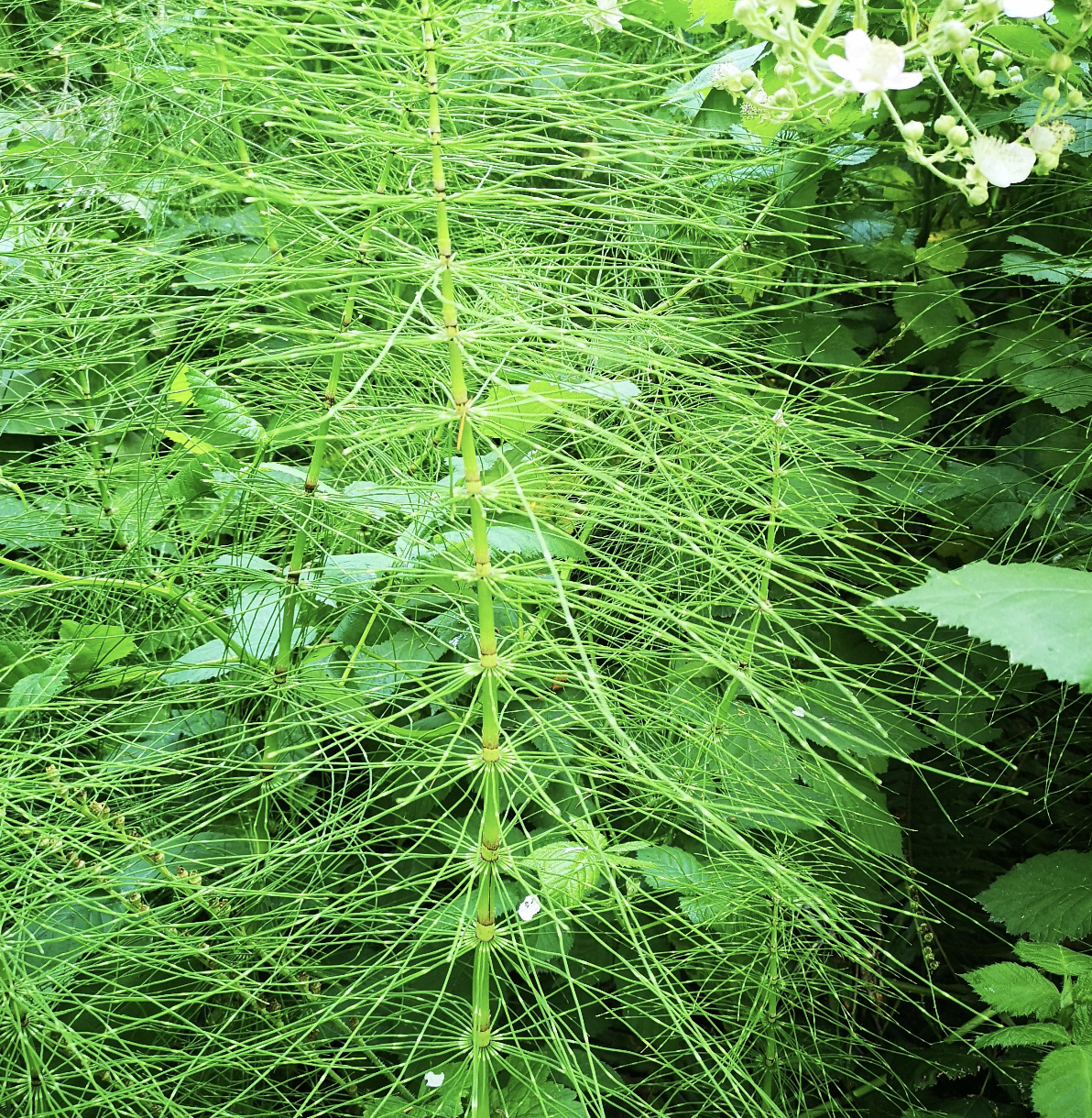 Modern building with wooden and white exterior, large window, surrounded by low plants, mountainous landscape in the background