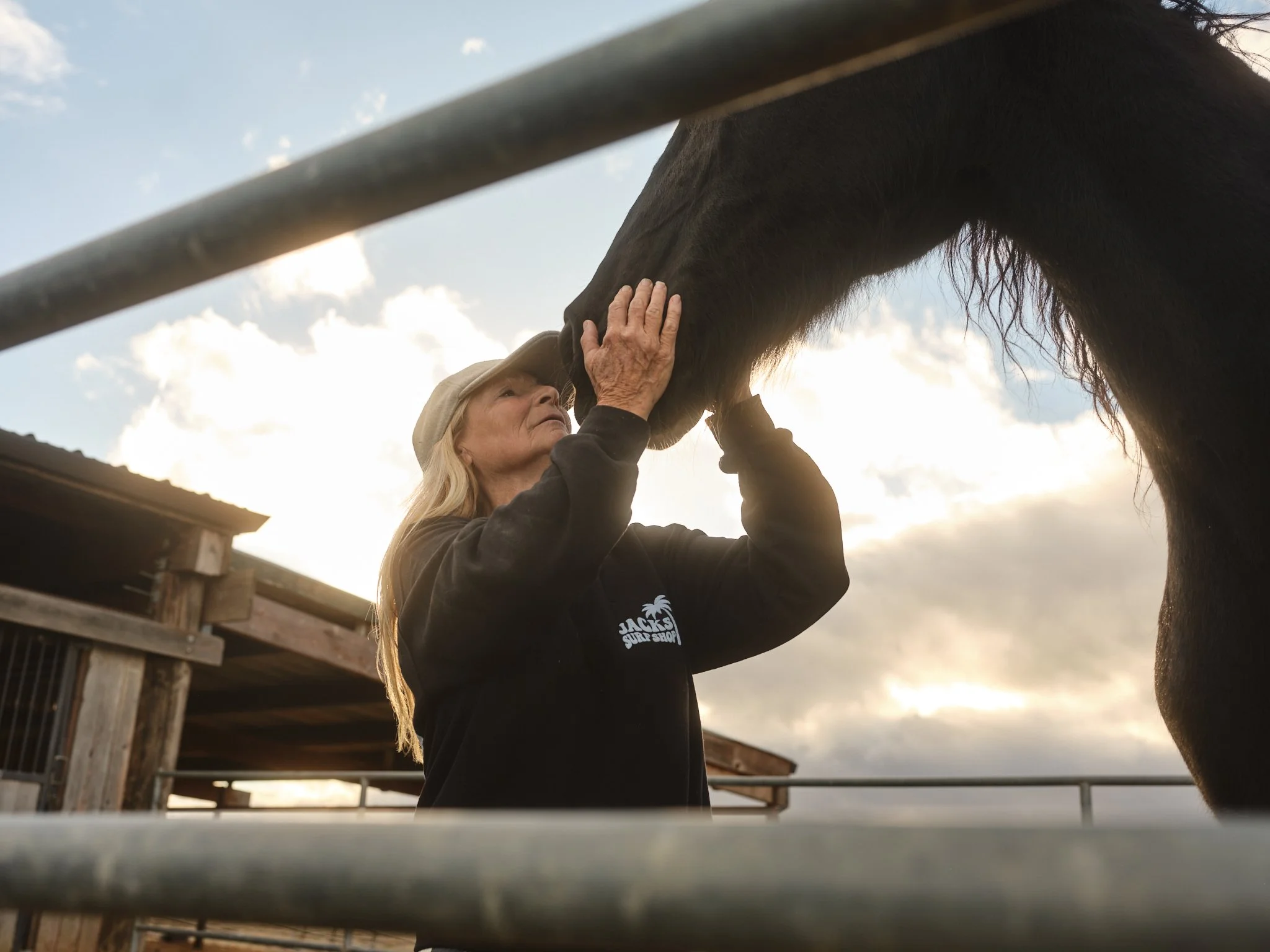 A woman with long blonde hair wearing a khaki hat and a black jacket petting a black horse through a metal fence at sunset.