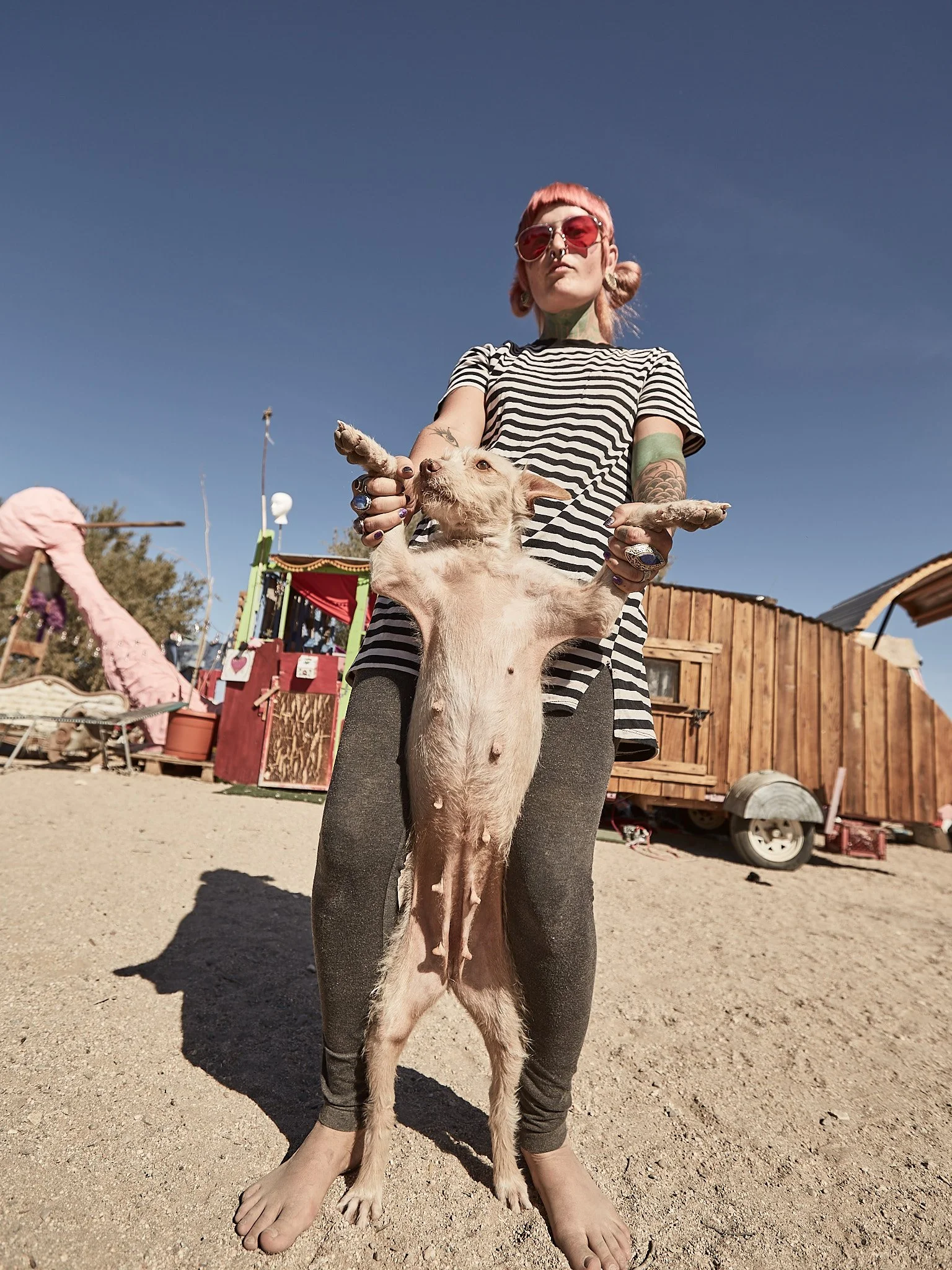 A woman with pink hair, striped shirt, and sunglasses holding a dog in a playful pose outdoors on a sunny day.