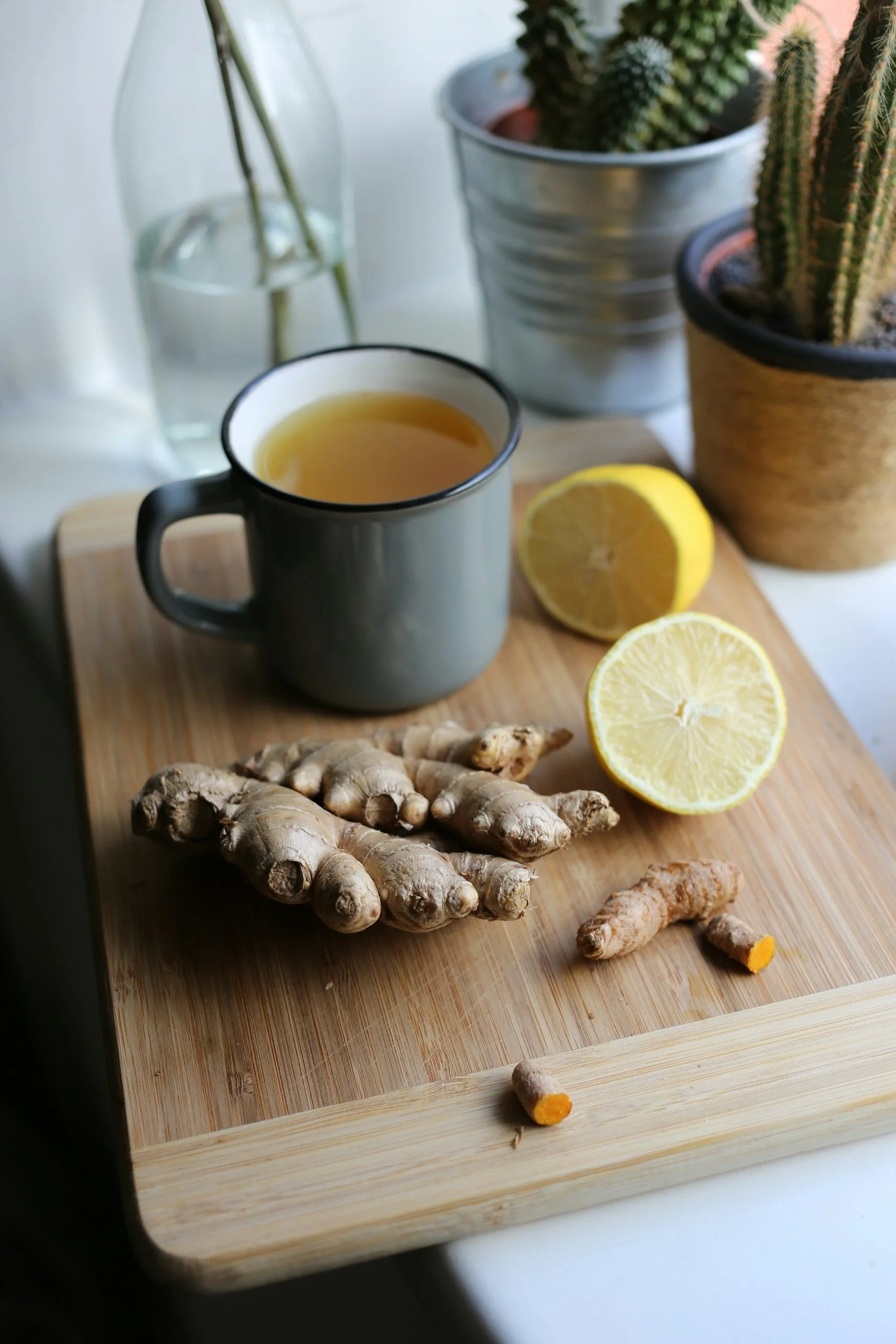 A wooden tray with sliced lemons, a piece of ginger root, a ginger-turmeric root, and a mug of tea, with potted cacti and a glass vase in the background.