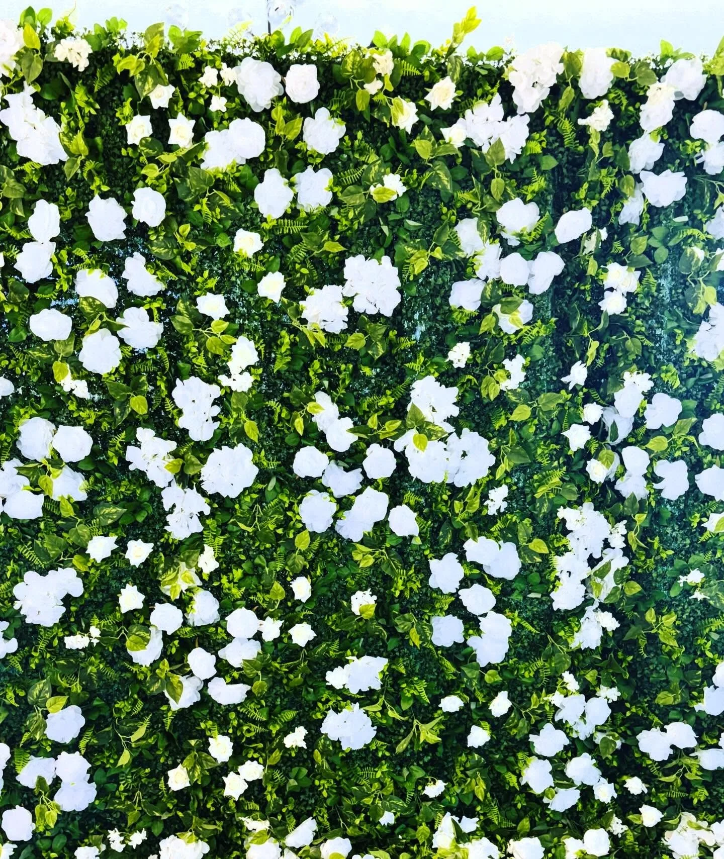 Meet The Estate Bloom 🤍🌿

Classic. Refined. Effortlessly elegant.

This lush white floral backdrop brings a clean, elevated look to weddings, showers, birthdays, graduations, corporate events, and photo moments that deserve something special. It ph