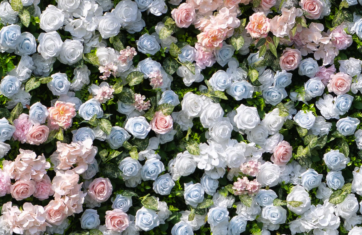 Screenshot 2025-12-21 at 2.06.23 PM.png