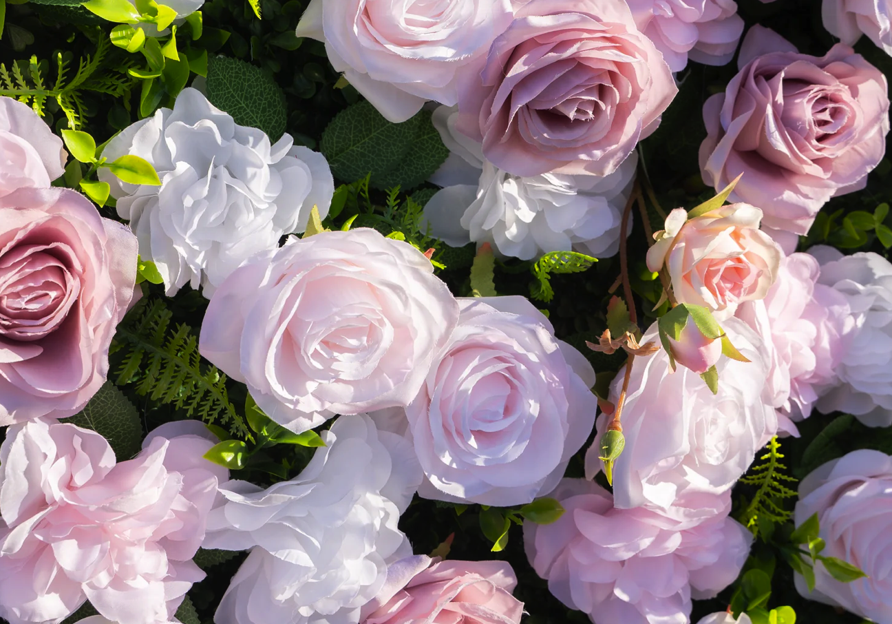 Blushing Rose Flower Wall Up Close 2.png