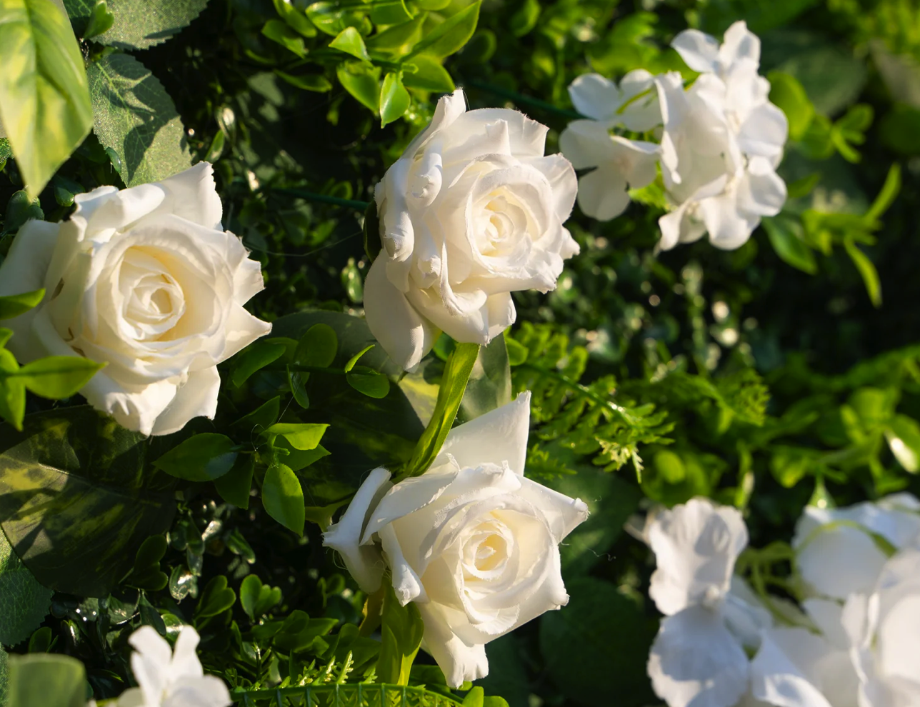 Screenshot 2026-01-04 at 3.13.57 PM.png