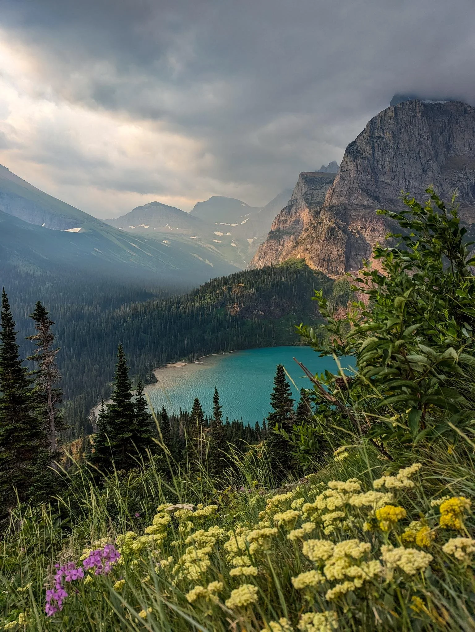 Mountain landscape with a turquoise lake, dense pine trees, and wildflowers in the foreground under cloudy skies.