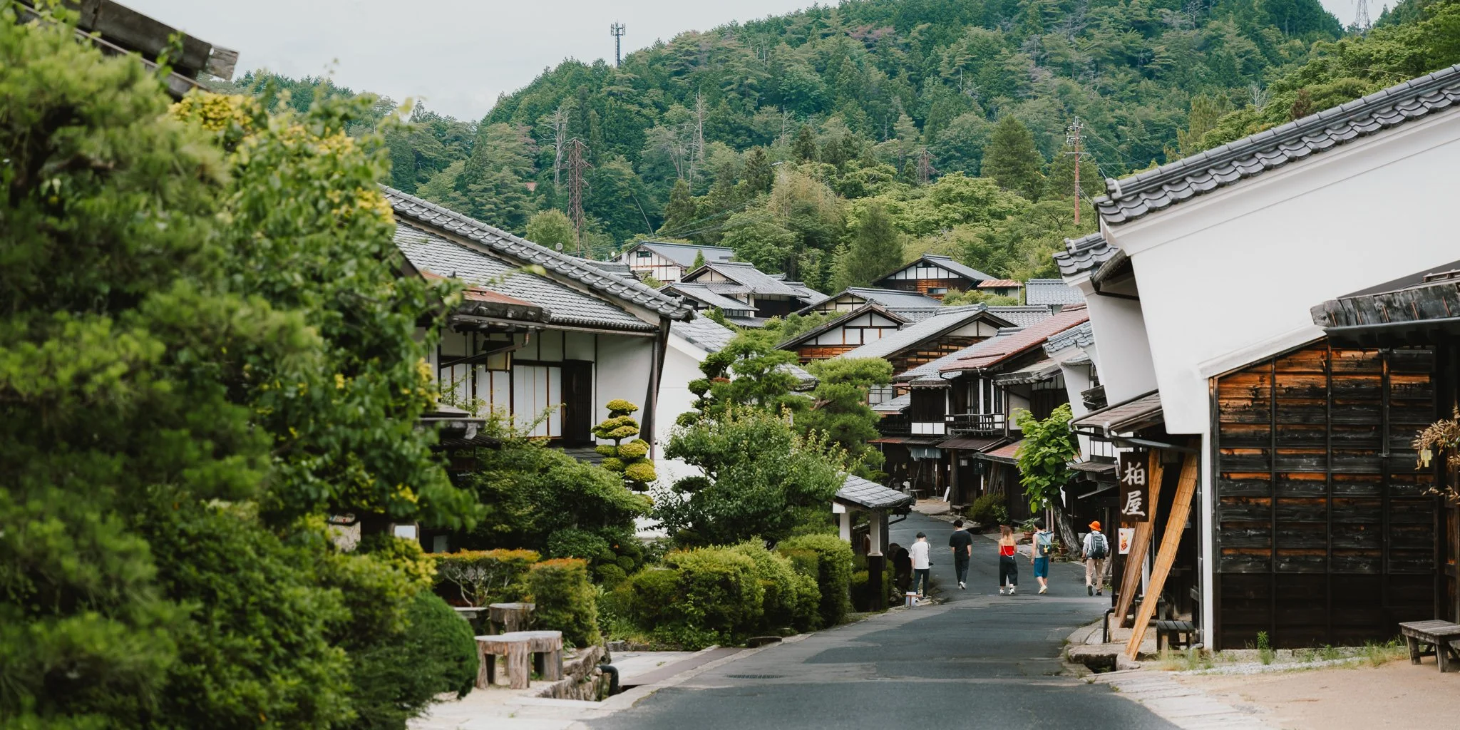 B0001478.jpg