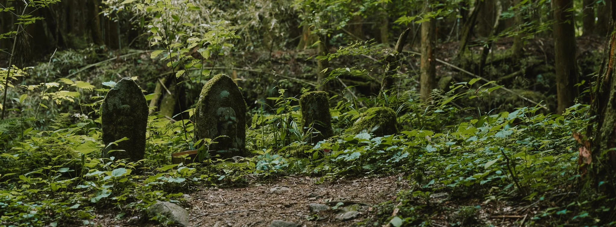B0001448.jpg