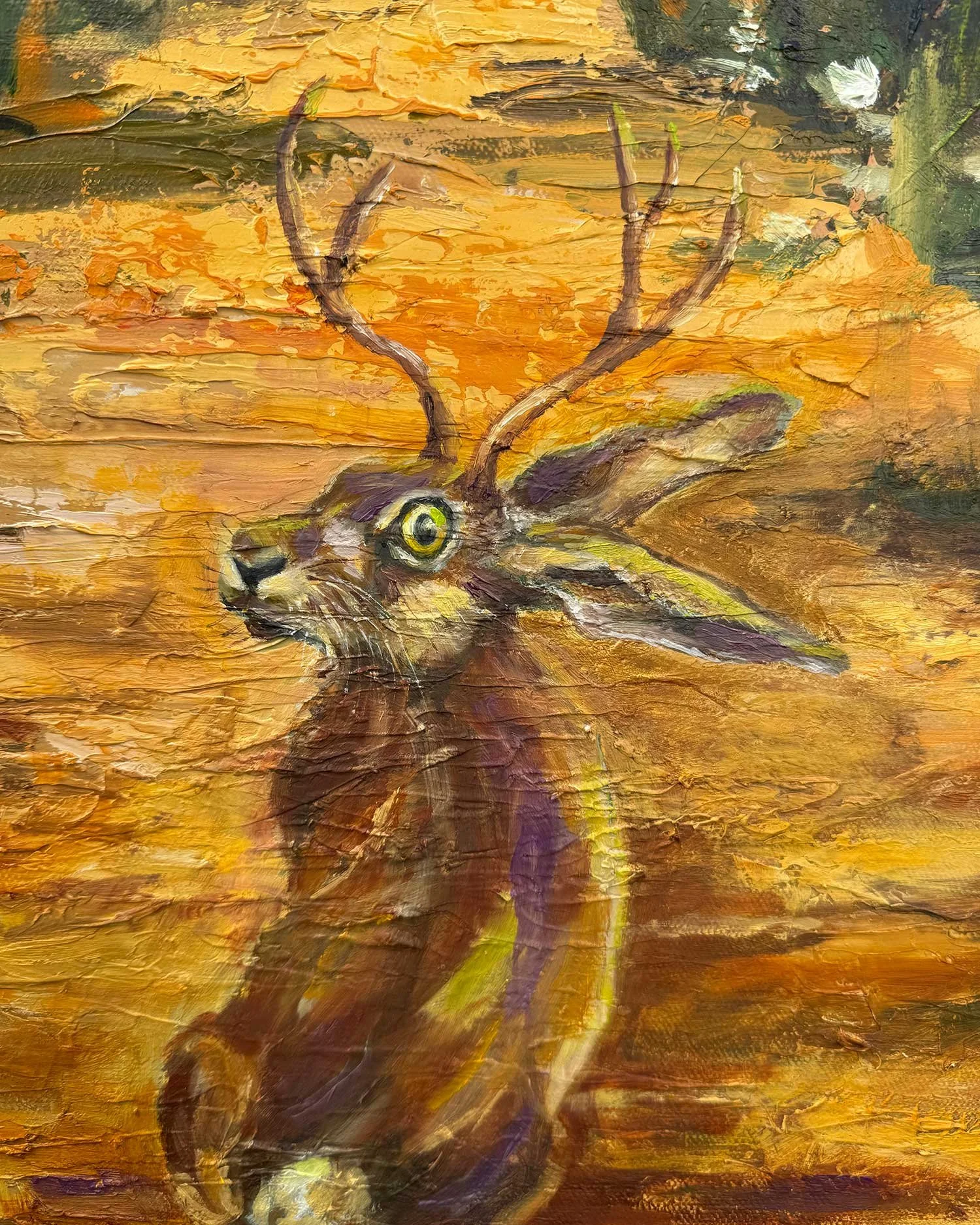 Desert-Dazed_Jackalope.jpg