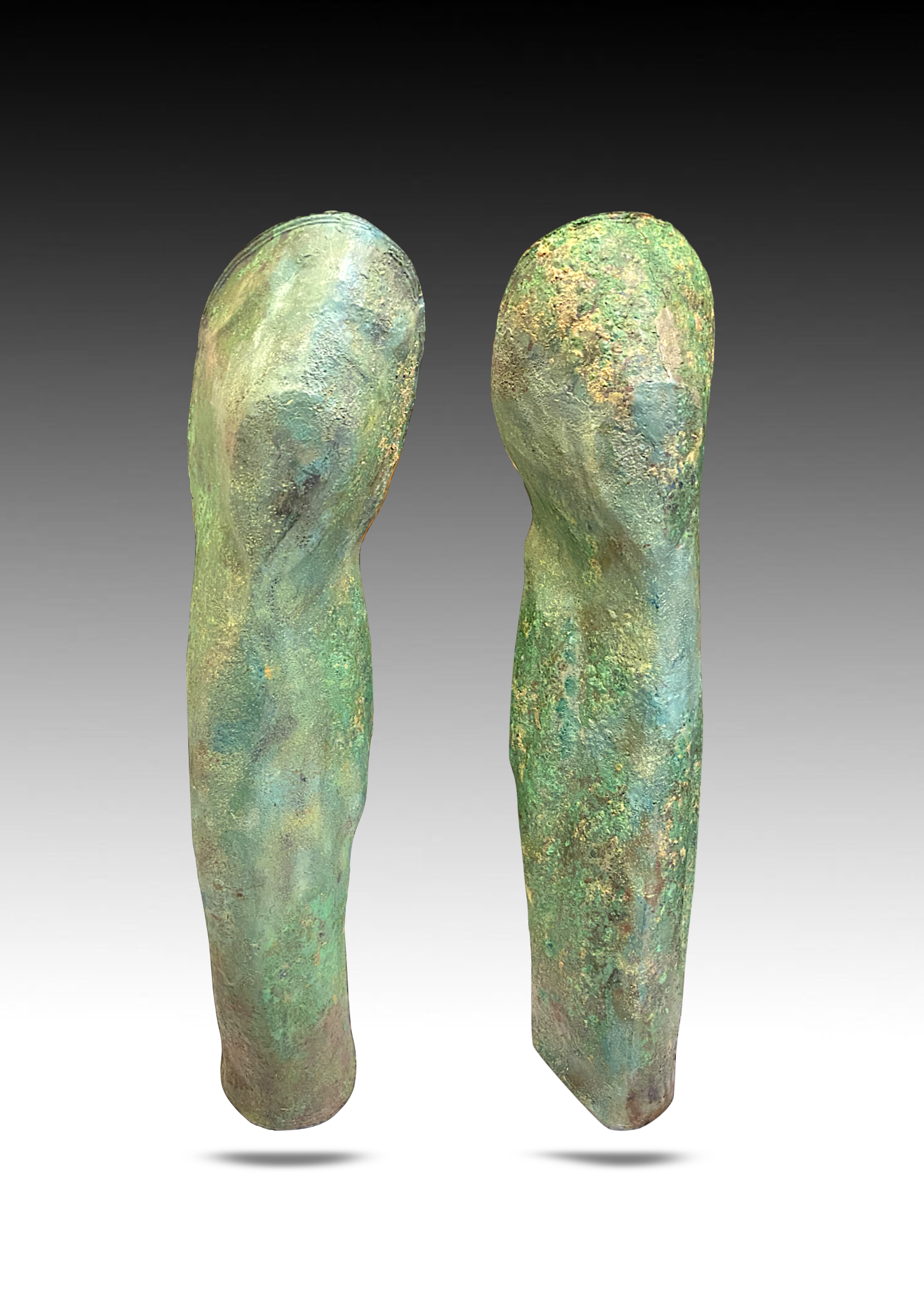 A digital 3D model of two ancient bronze objects, possibly artifacts, with a weathered green patina, displayed against a gradient background.