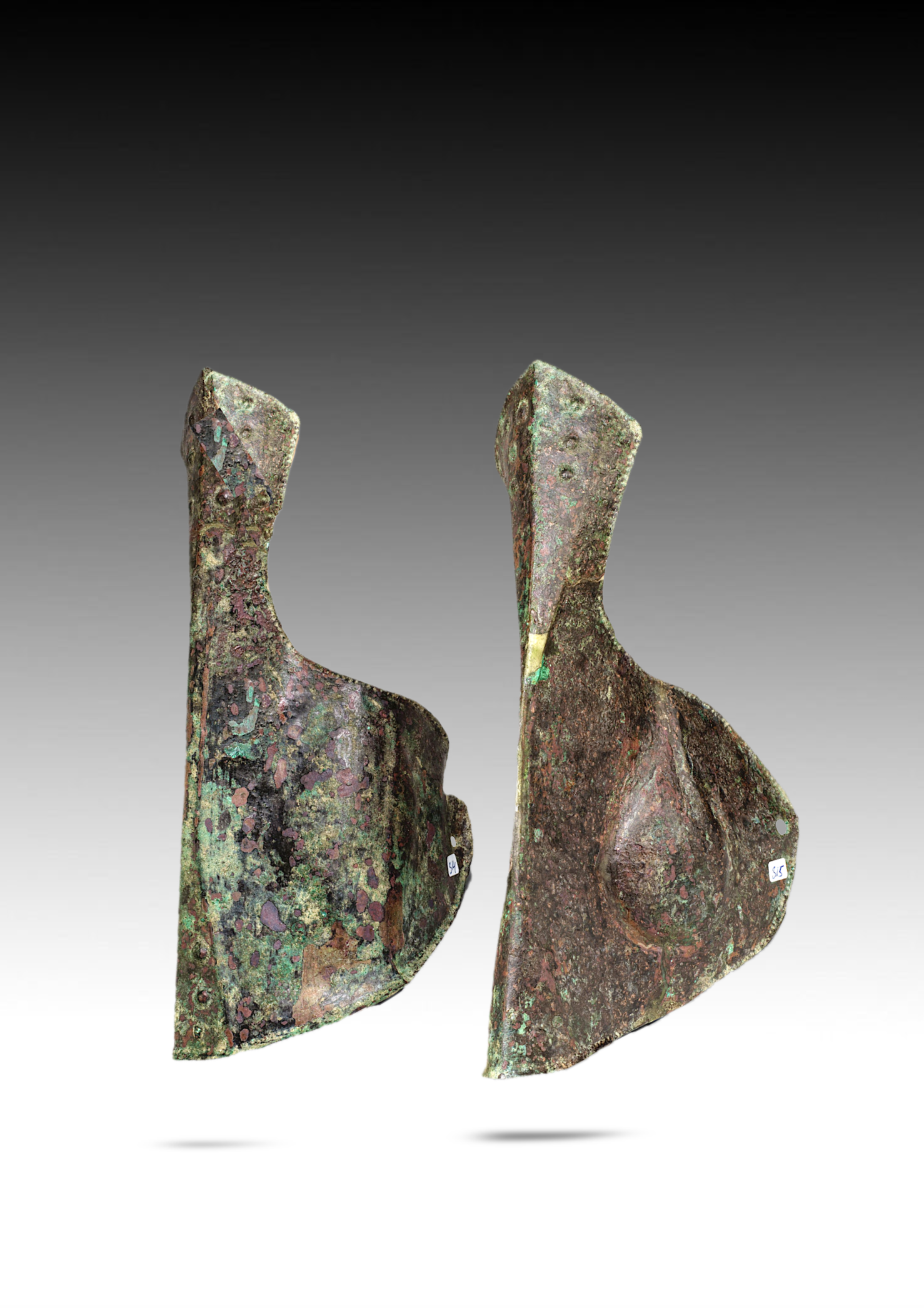 Two abstract metallic sculptures with a mottled, textured surface and irregular shapes, displayed against a gradient background.