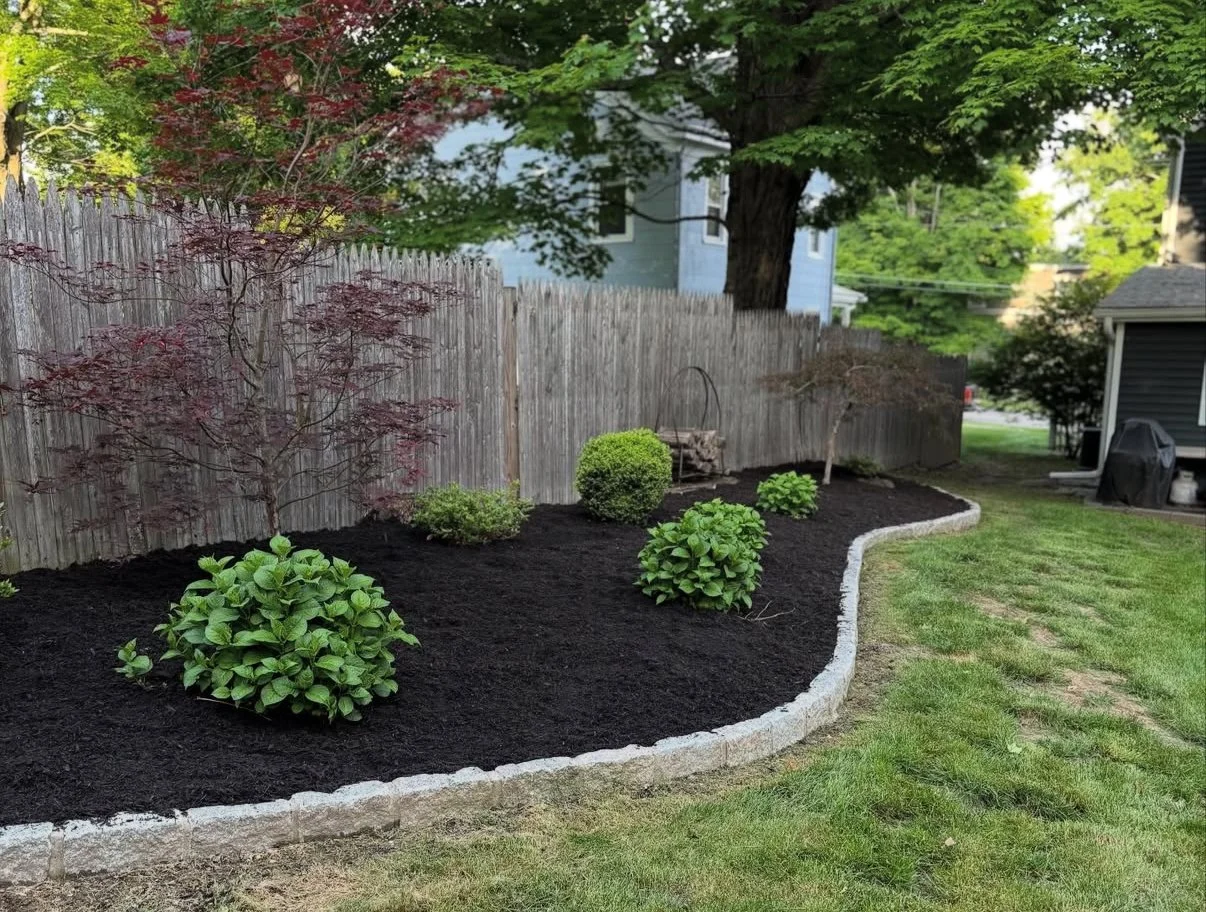 Lawn & Landscaping Services 🌱