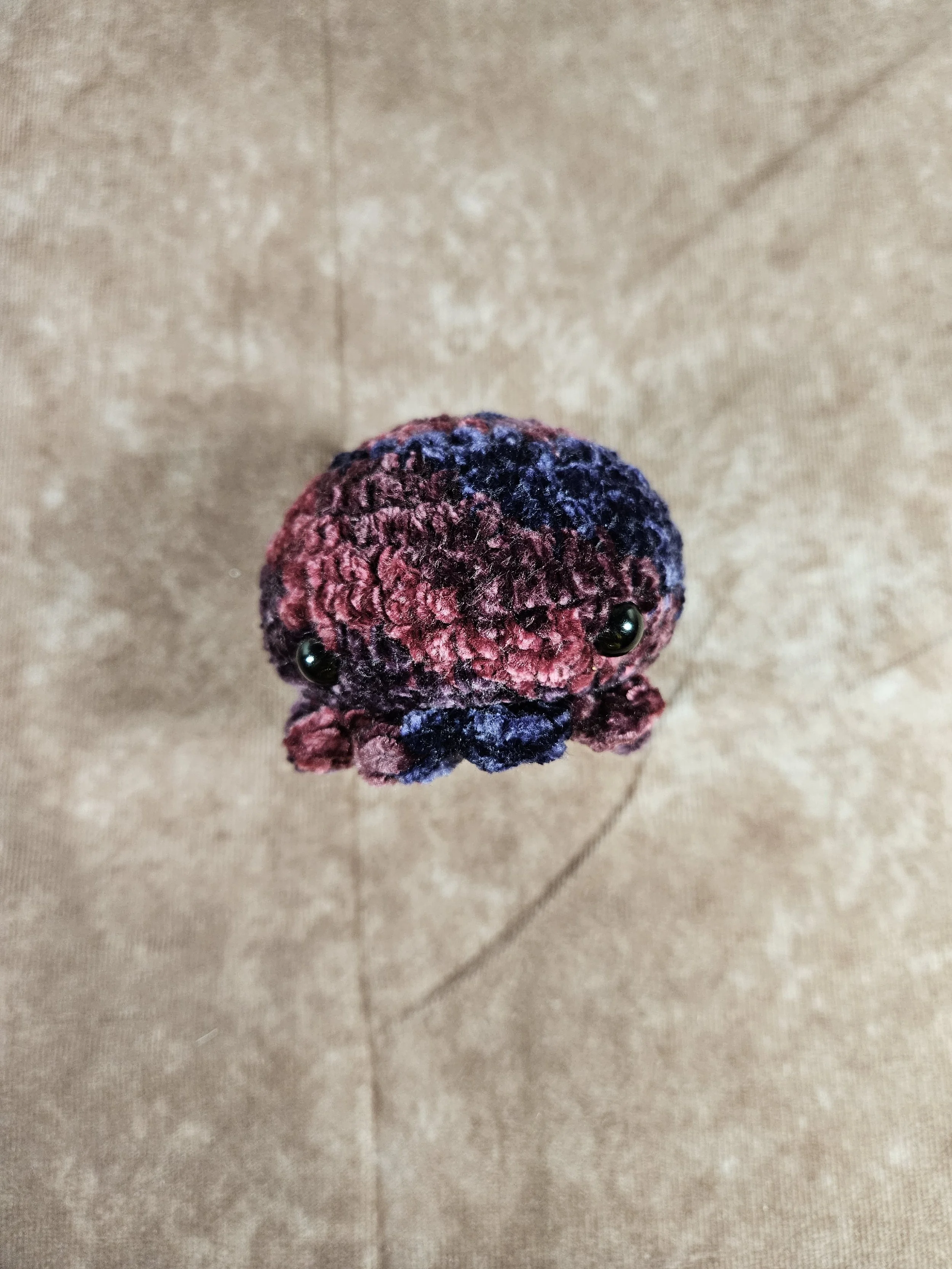 Small Purple Cuddlefish