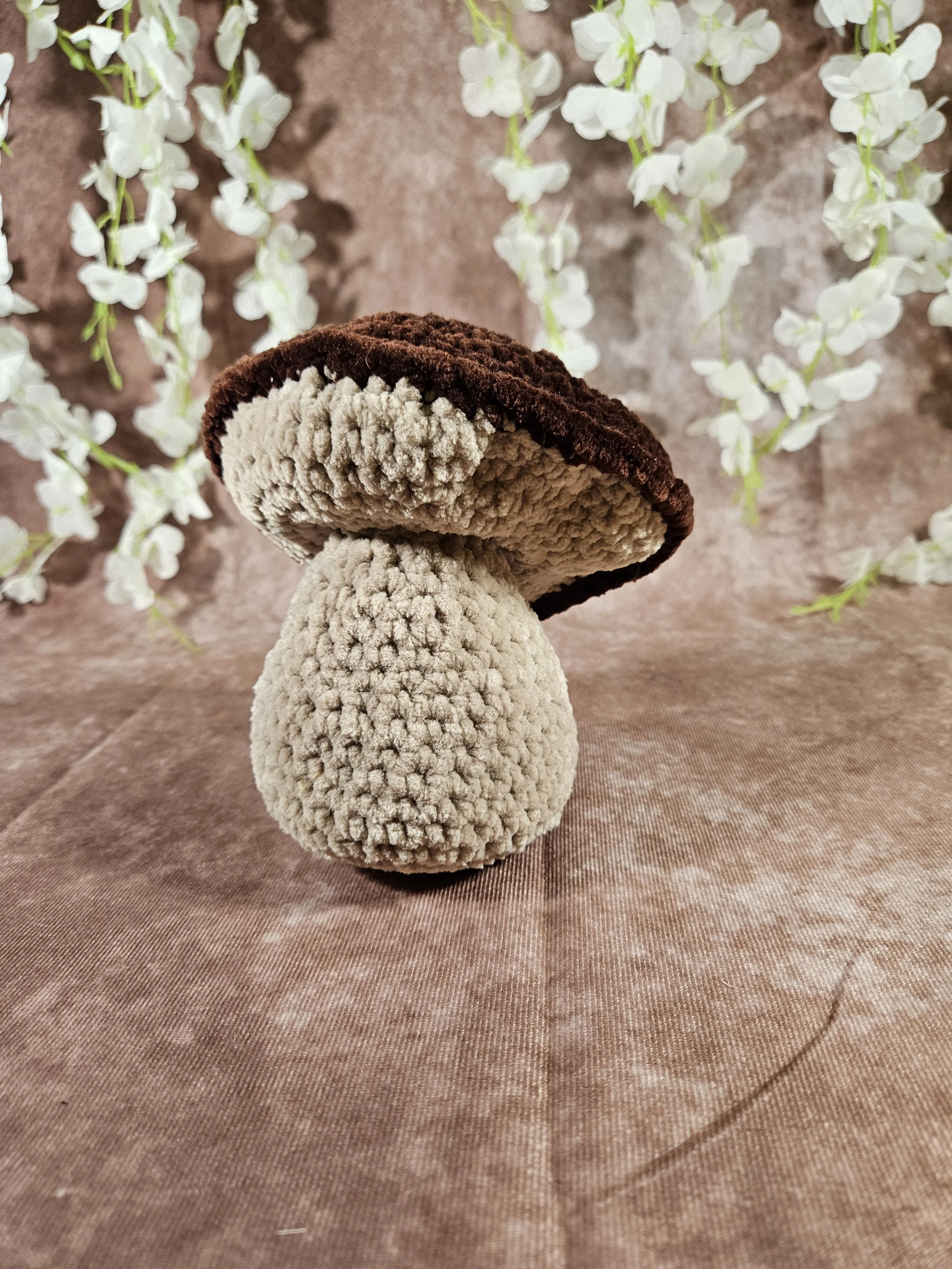 20260116_154849.jpg (Copy)